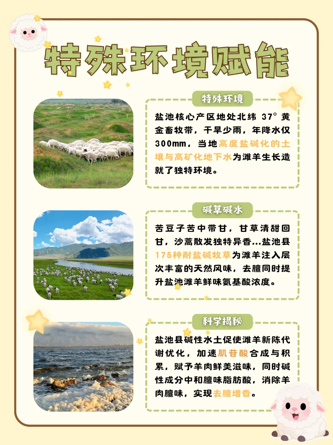 “鲜”遍天下的盐池滩羊是如何养成的??