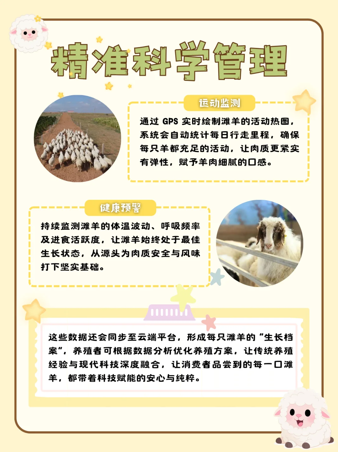 “鲜”遍天下的盐池滩羊是如何养成的??