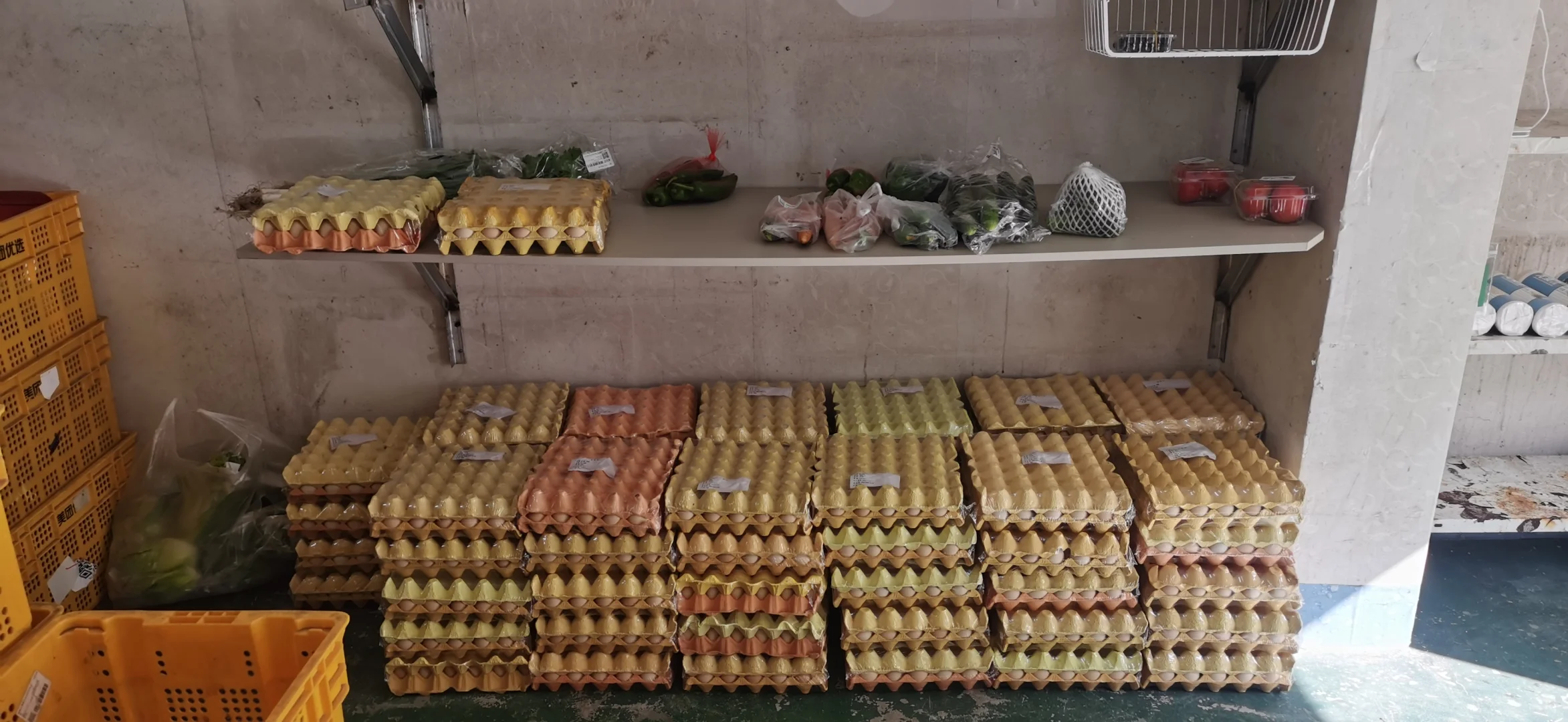 重生之我在小区卖鸡蛋