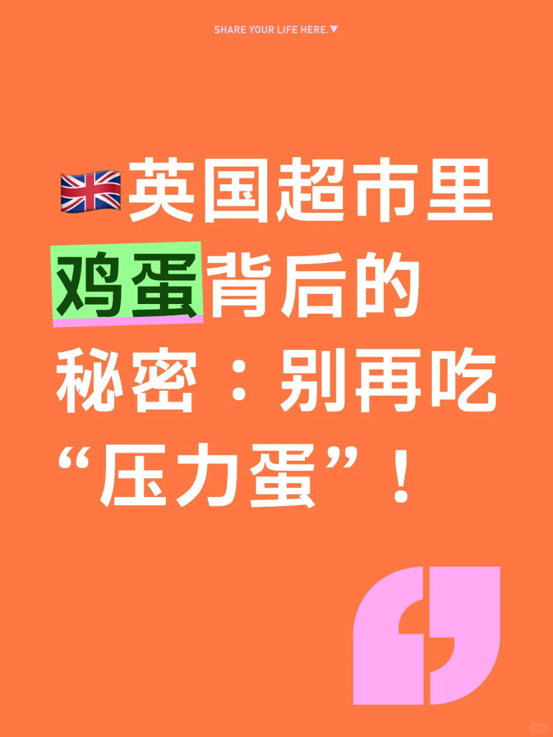 ??英国鸡蛋背后的秘密:别再吃“压力蛋”!