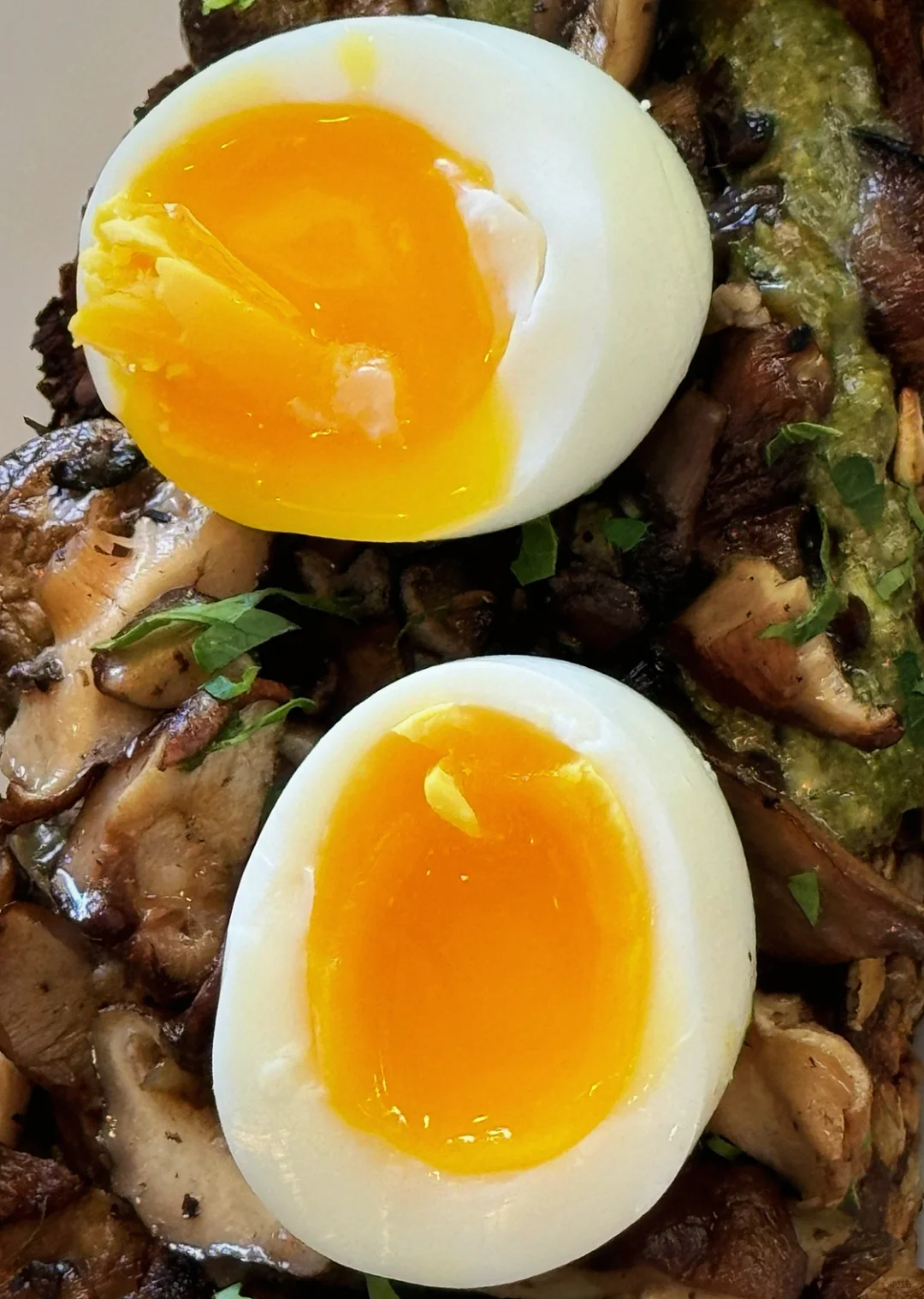 缺德舅??/?5.99金击子|建议全球普及