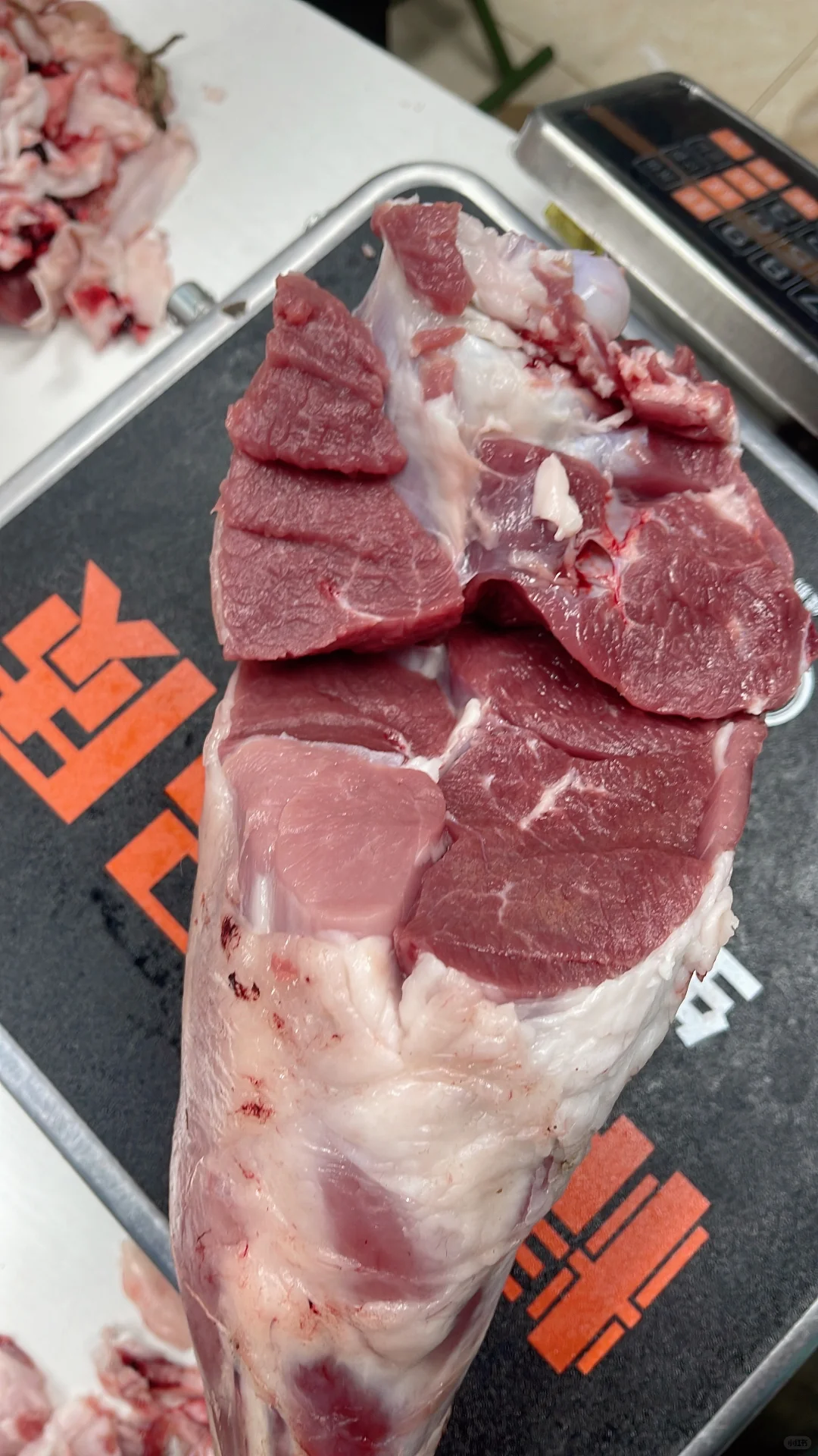 入秋的内蒙羔羊肉质堪称完美