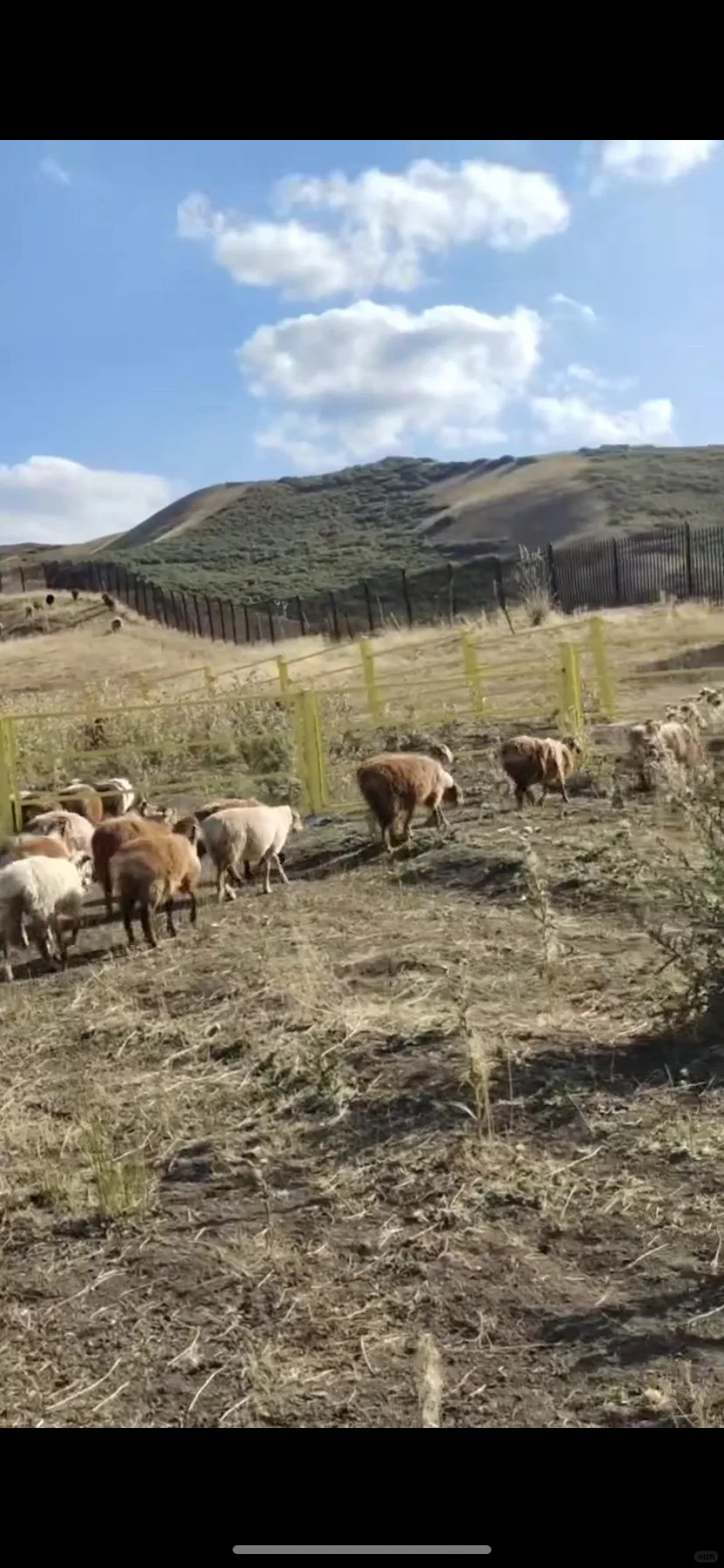 1100һֻ½ȻСᣬ17-18