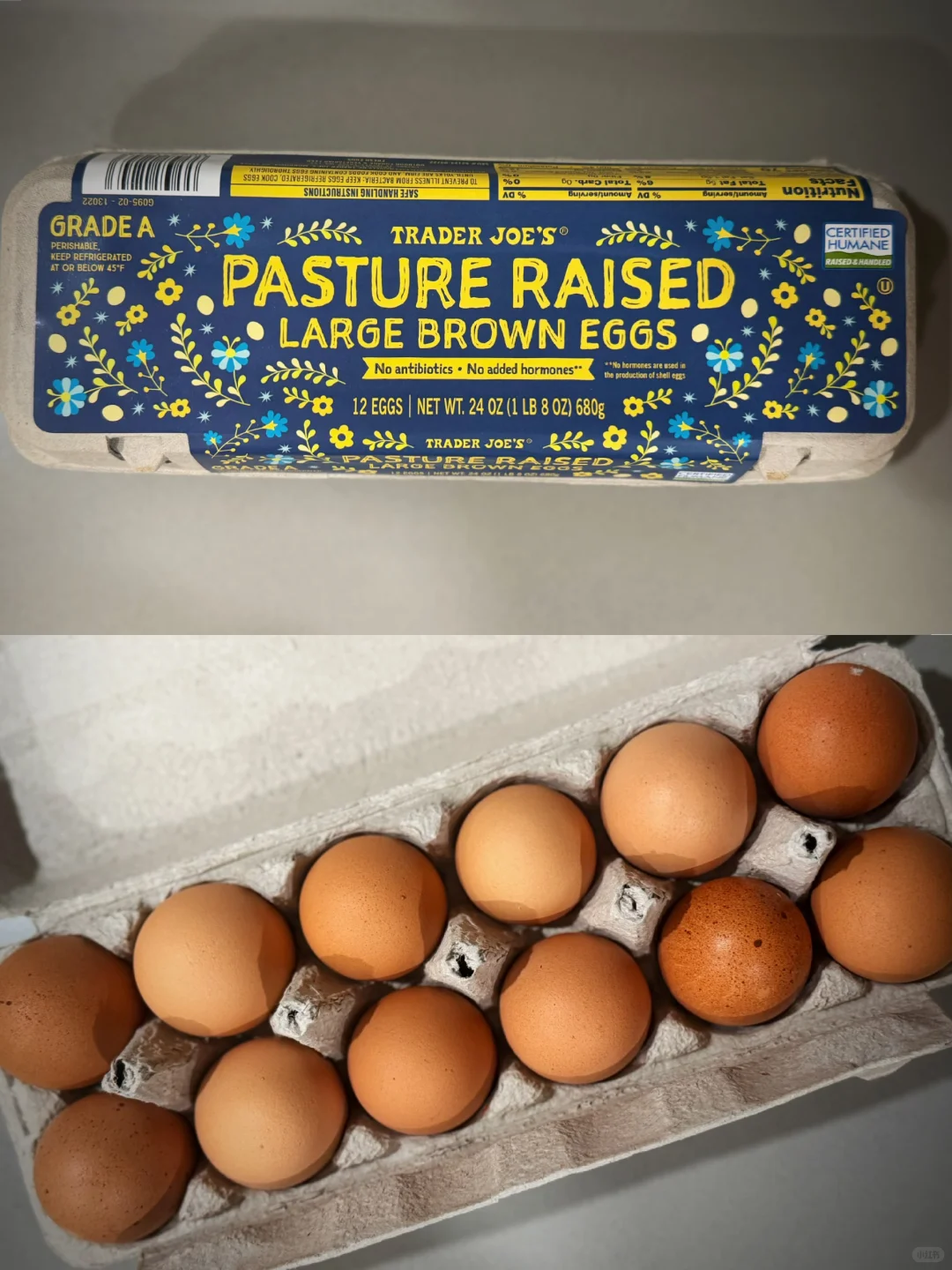 缺德舅??/?5.99金击子|建议全球普及