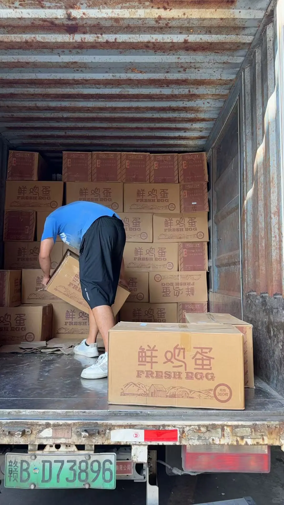 赣州鸡蛋批发,配送上门