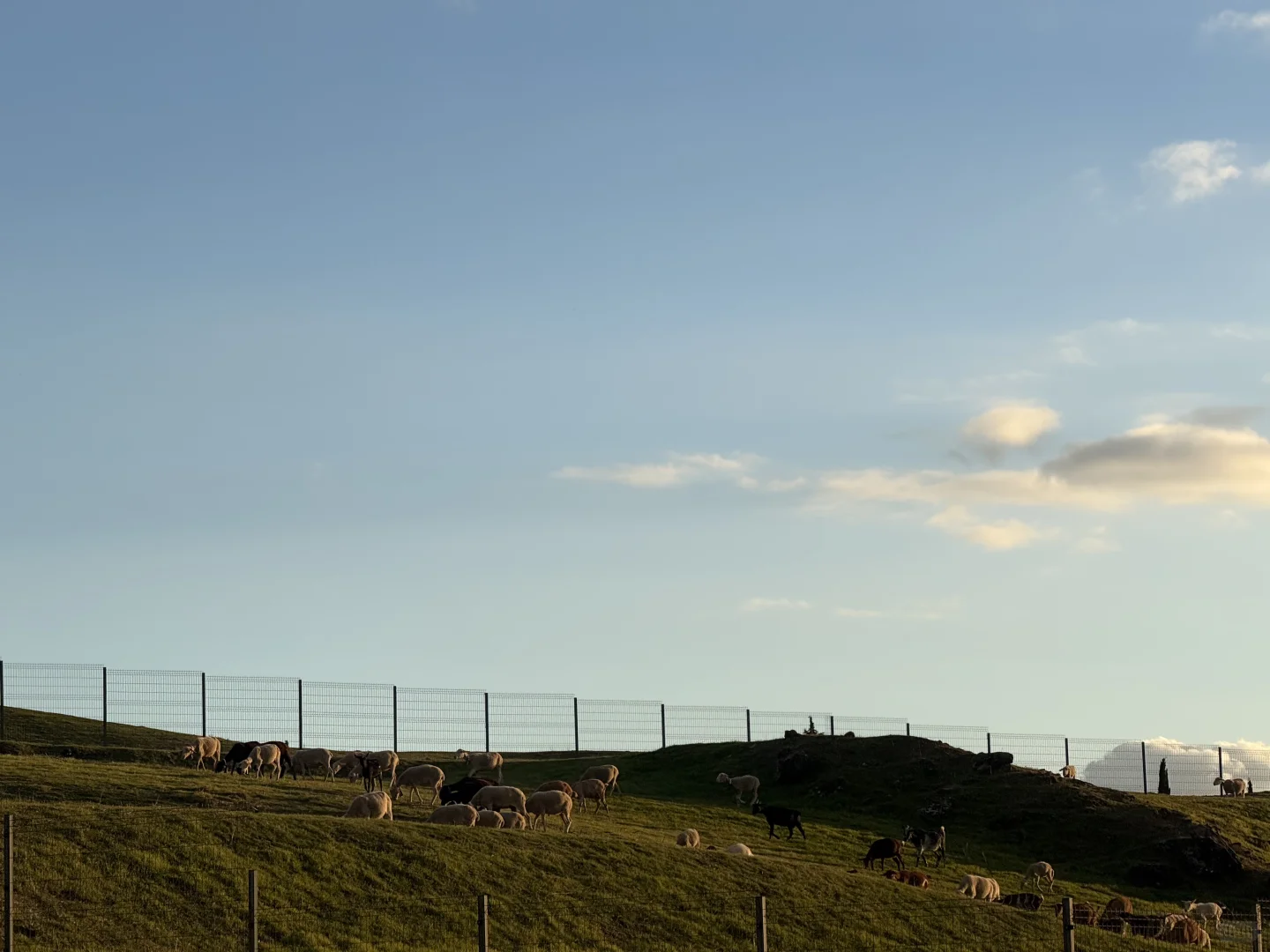 Take the money and run