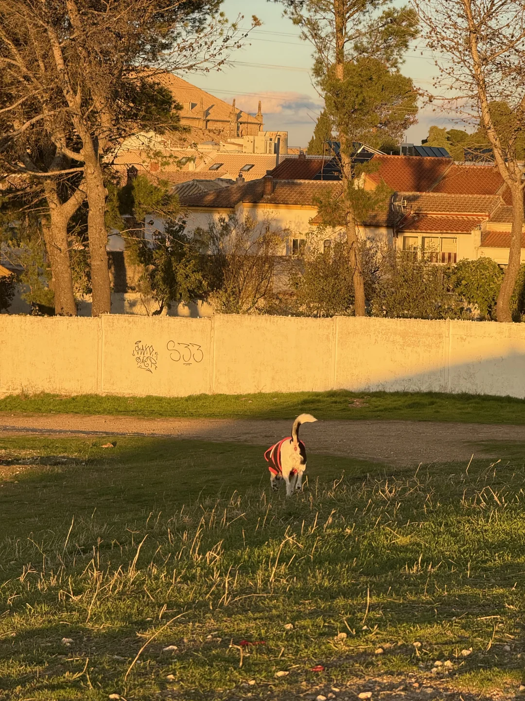 Take the money and run