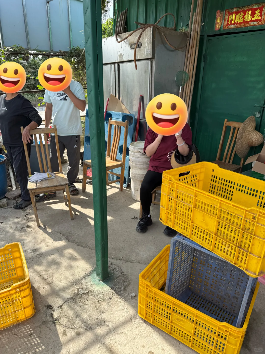 客人组团天马果园,亲手摘二红鲜果也太香了