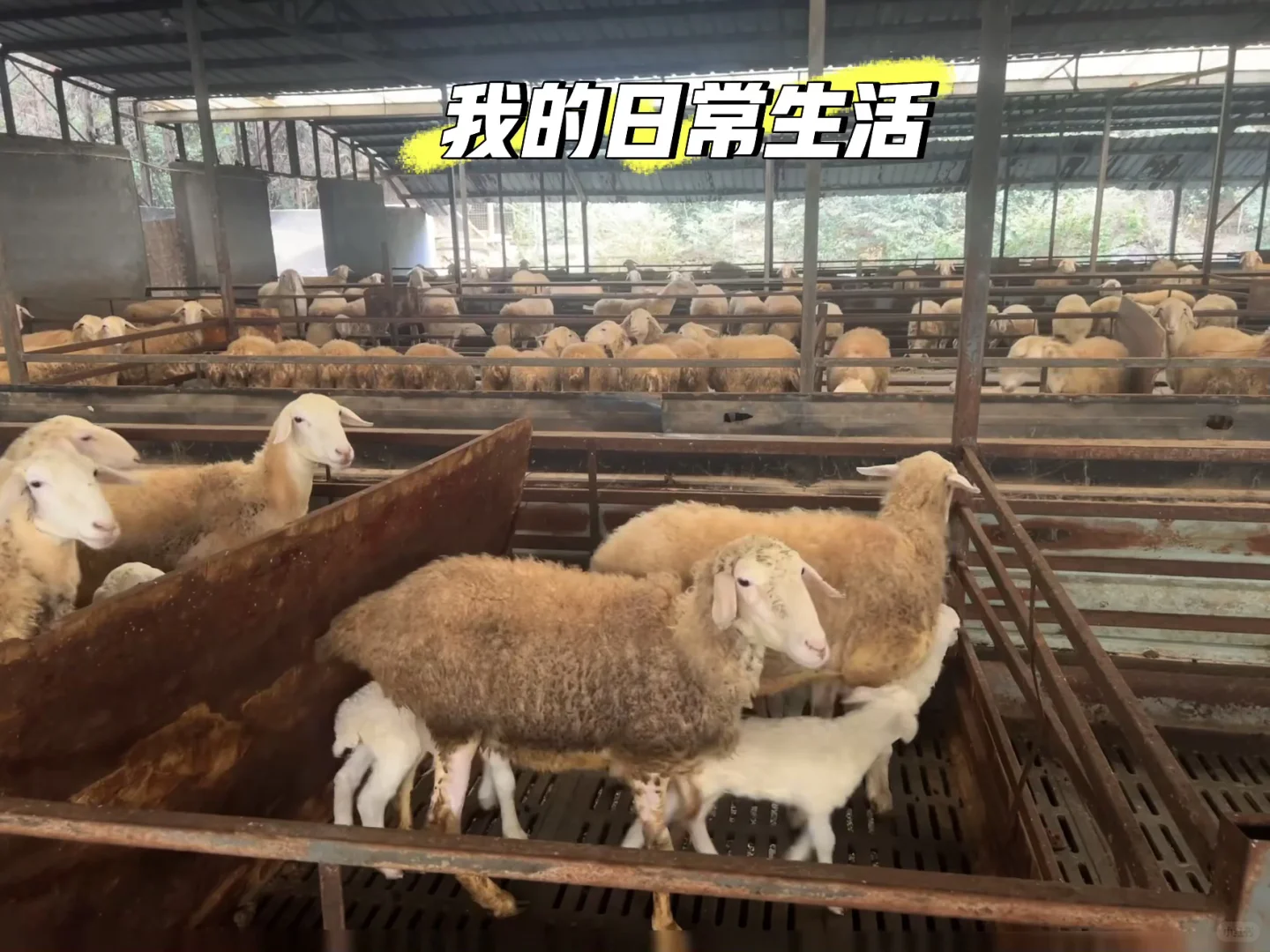 ܲȿӣ3ϸڰܿ90%Ŀӣ