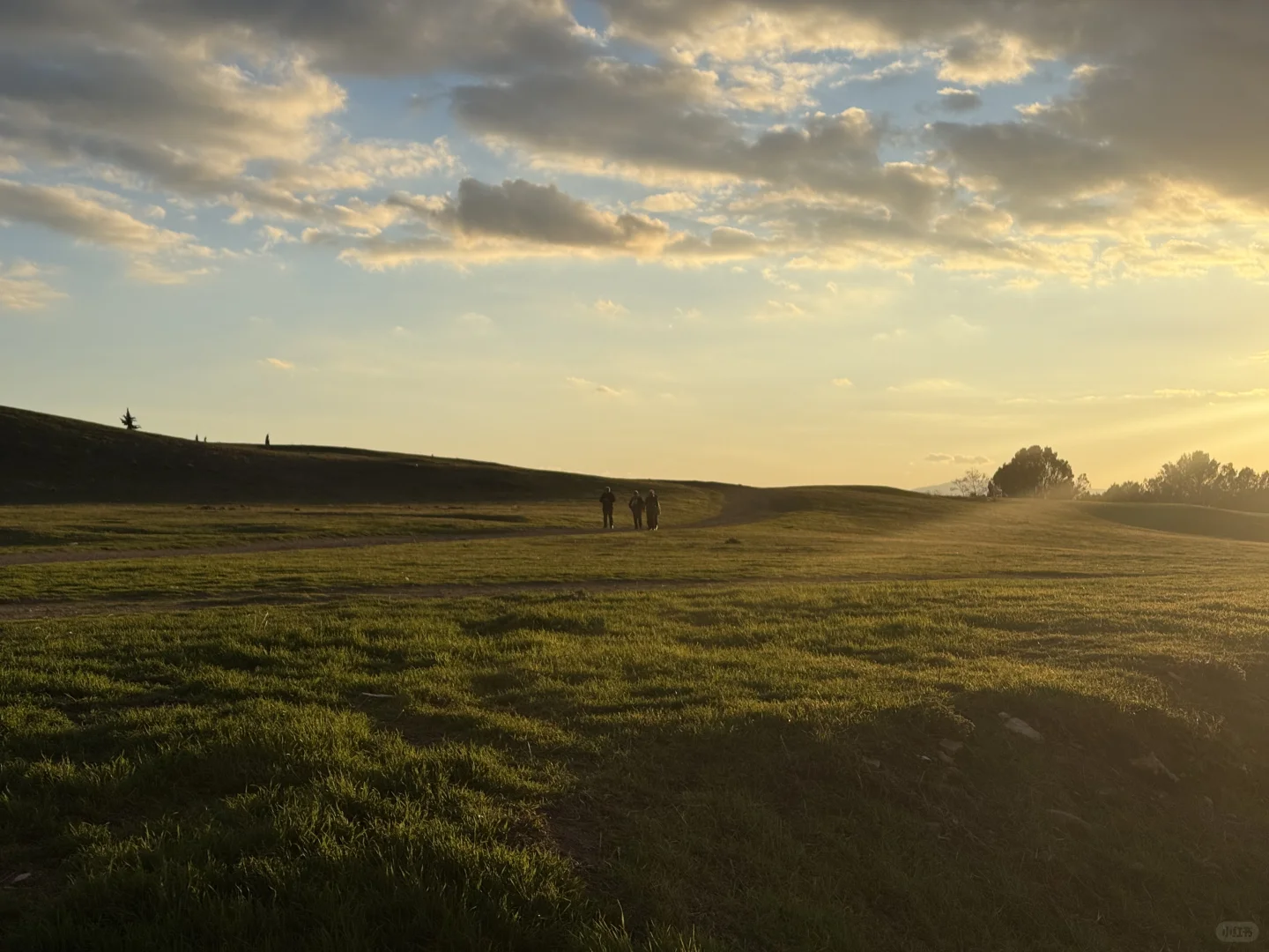 Take the money and run