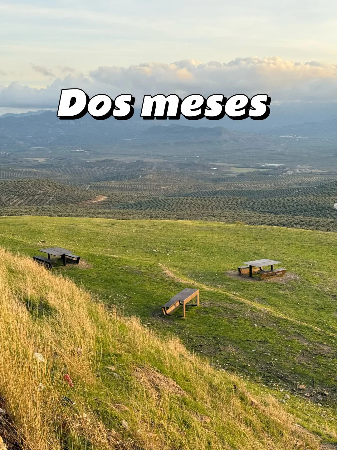 Take the money and run