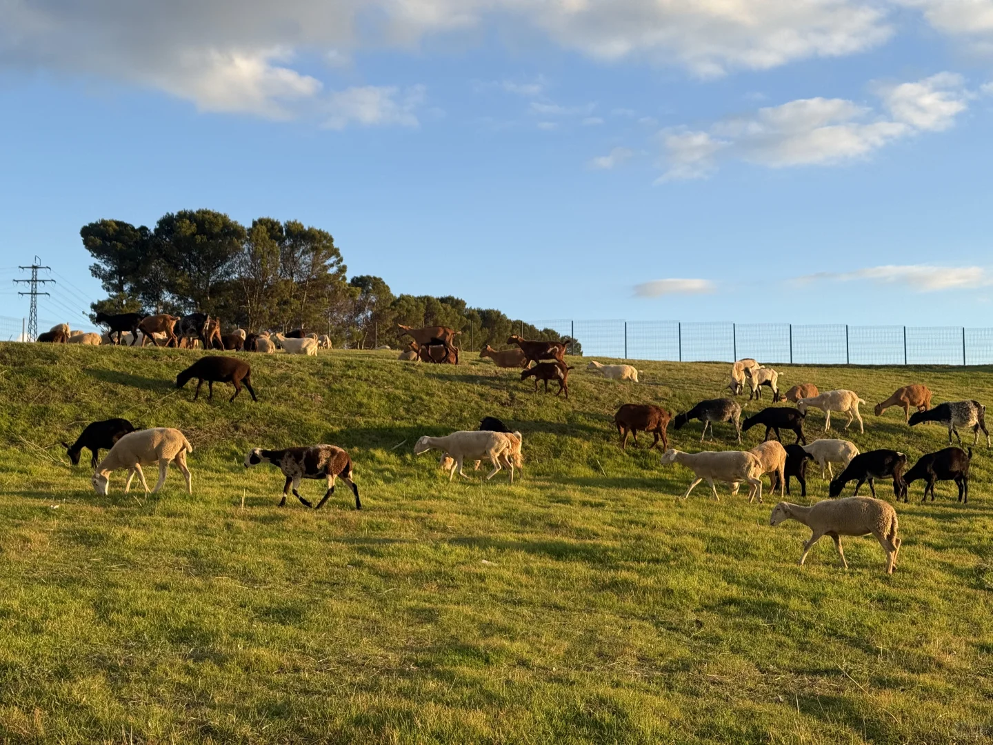 Take the money and run