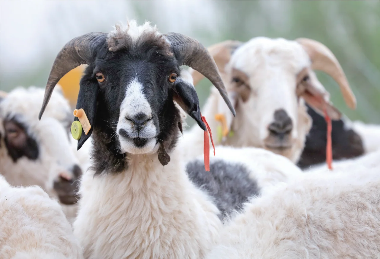 这个地方居然!!!