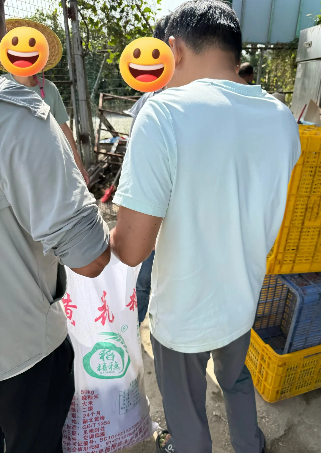 客人组团天马果园,亲手摘二红鲜果也太香了