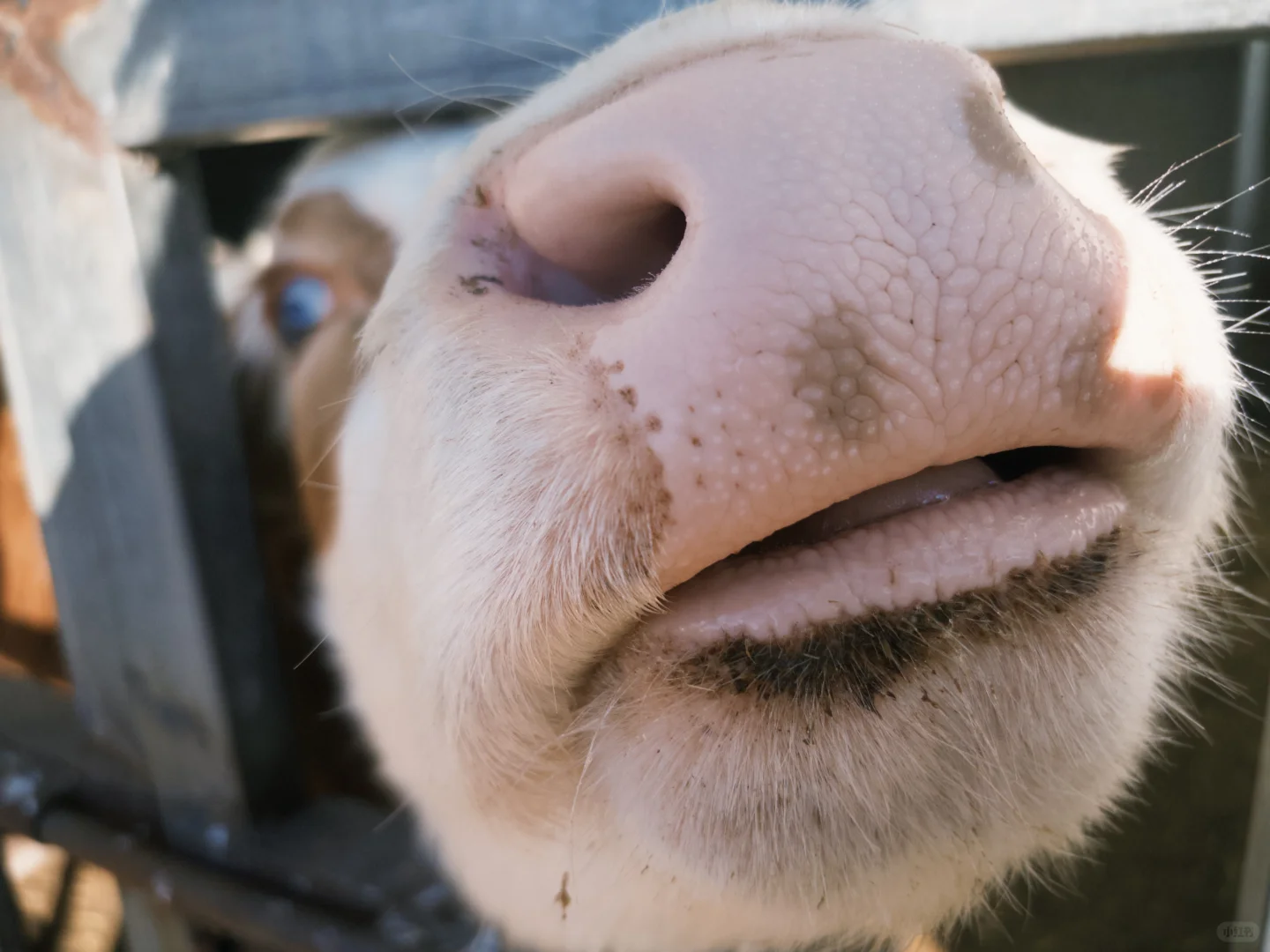 ������ͥ��Ա