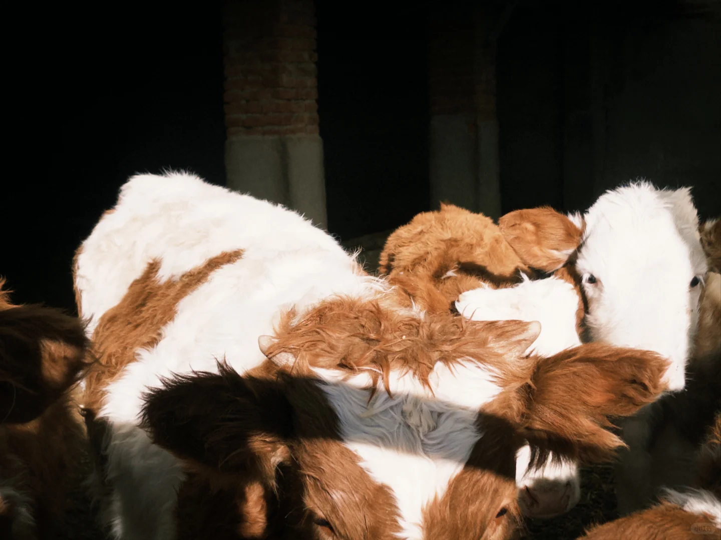 ������ͥ��Ա