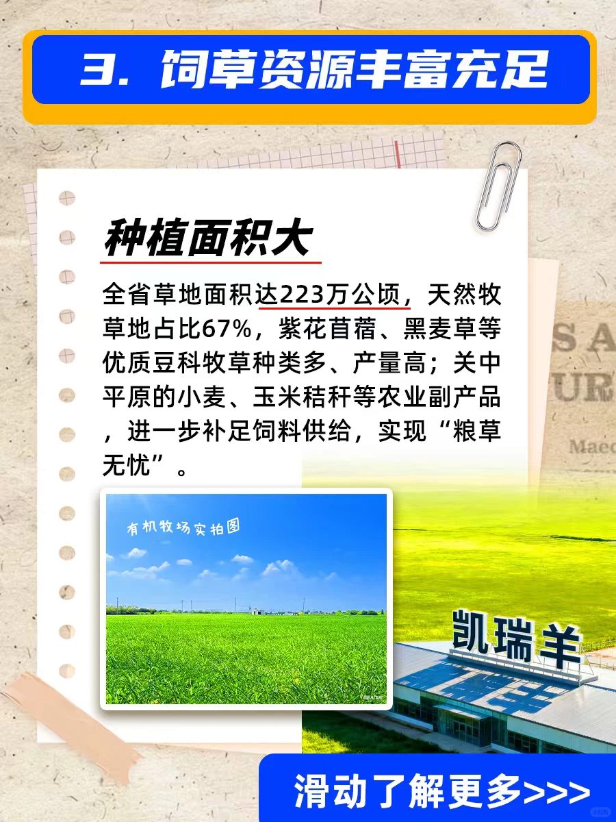 �Ҳ�֪�����������������ʡ��