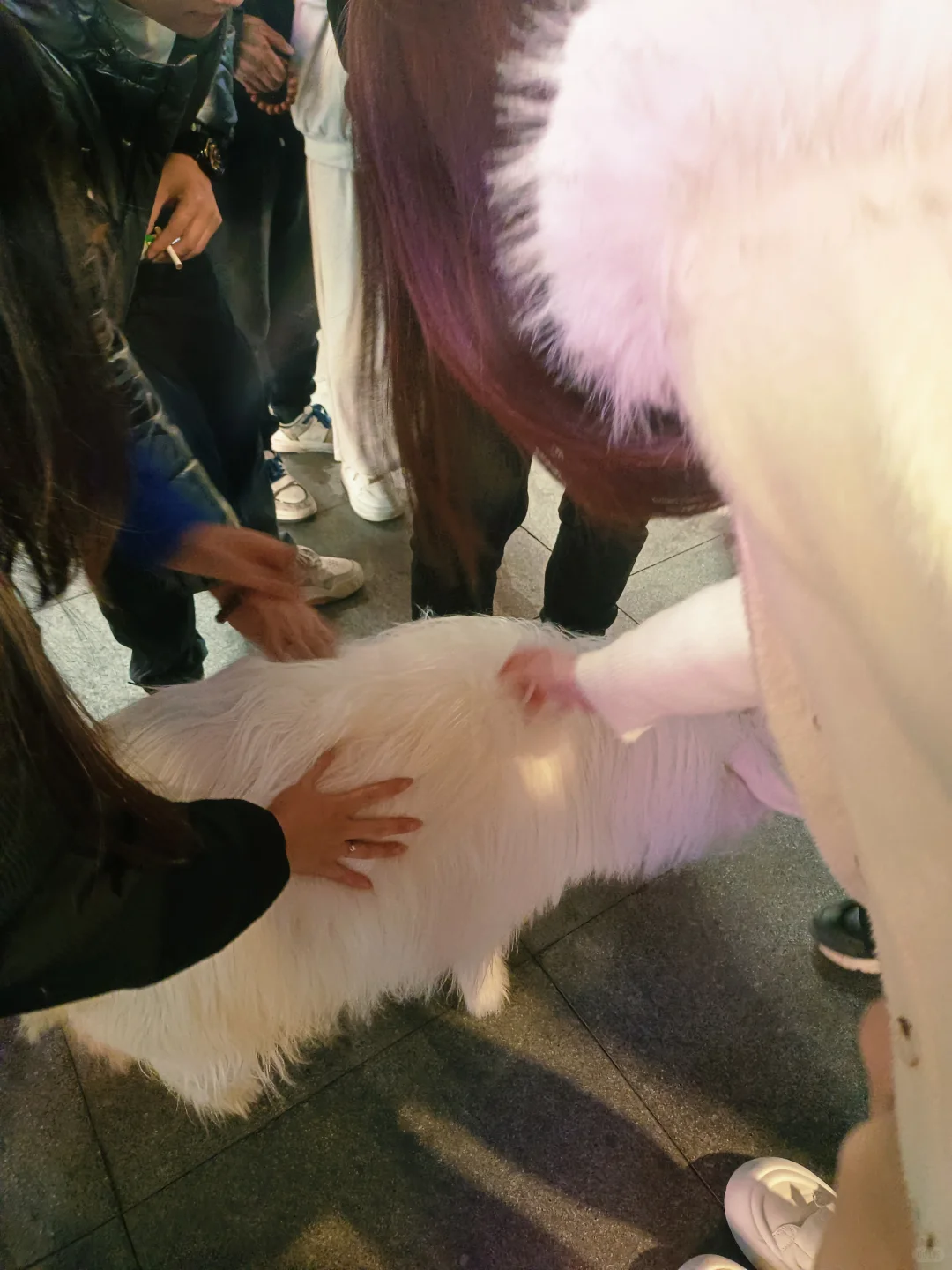 ����������øɾ�