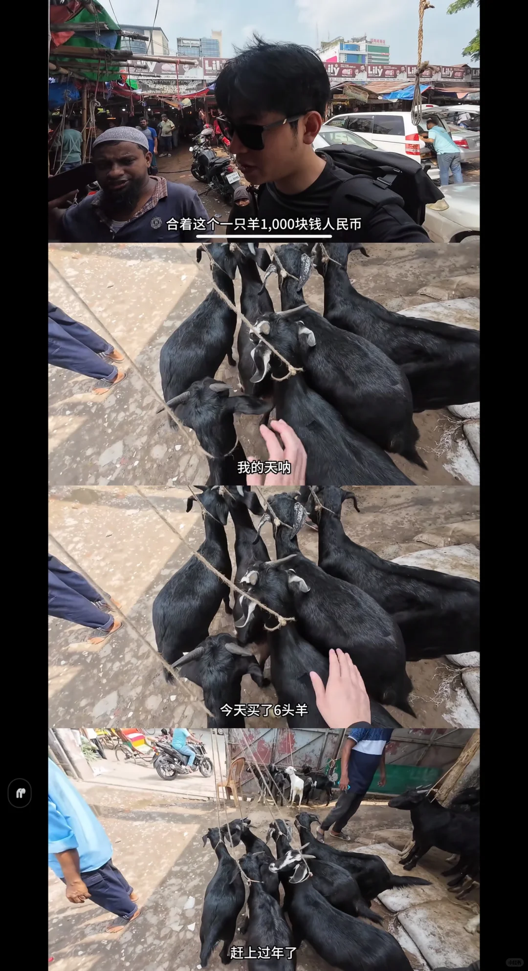 �ϼ�����?�ļ۸�1200TK/KG