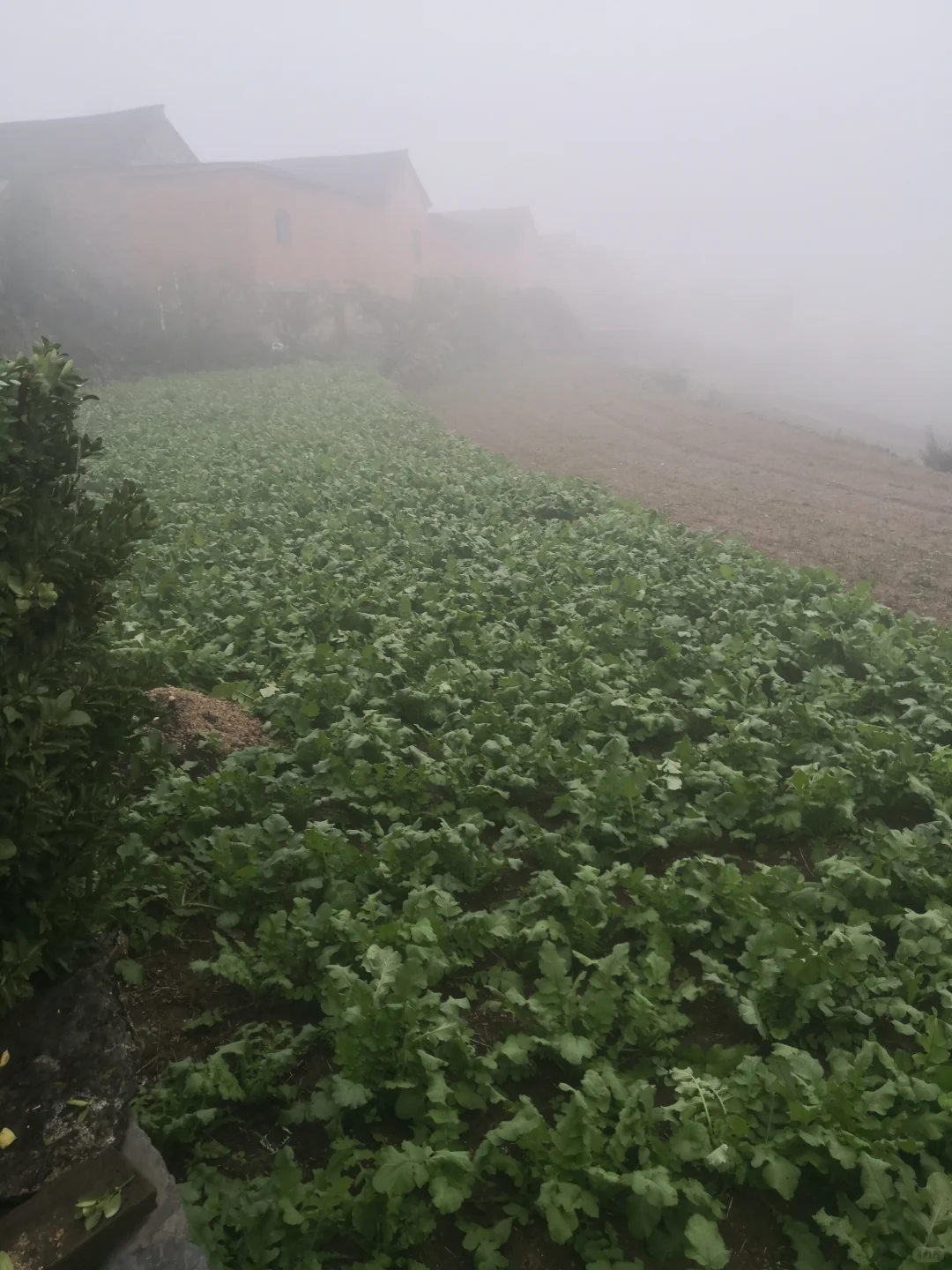 ������ͨ�˵�������ĺܼ�����