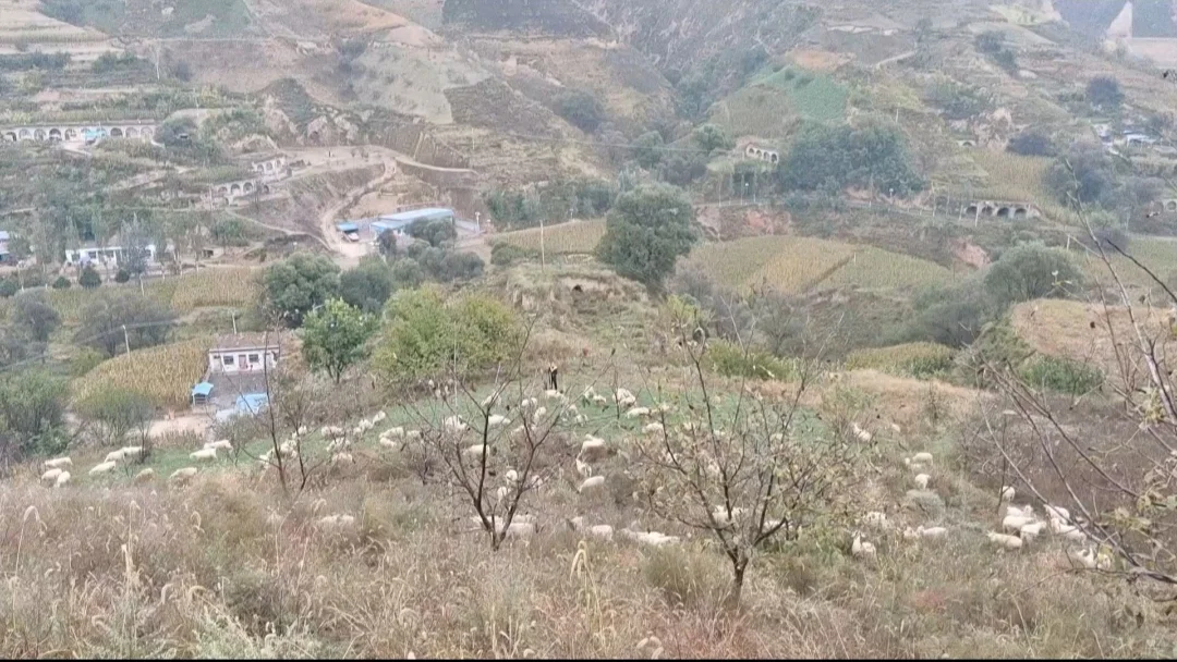 ��Ȼ�ö��˲�֪������ĸ��������������