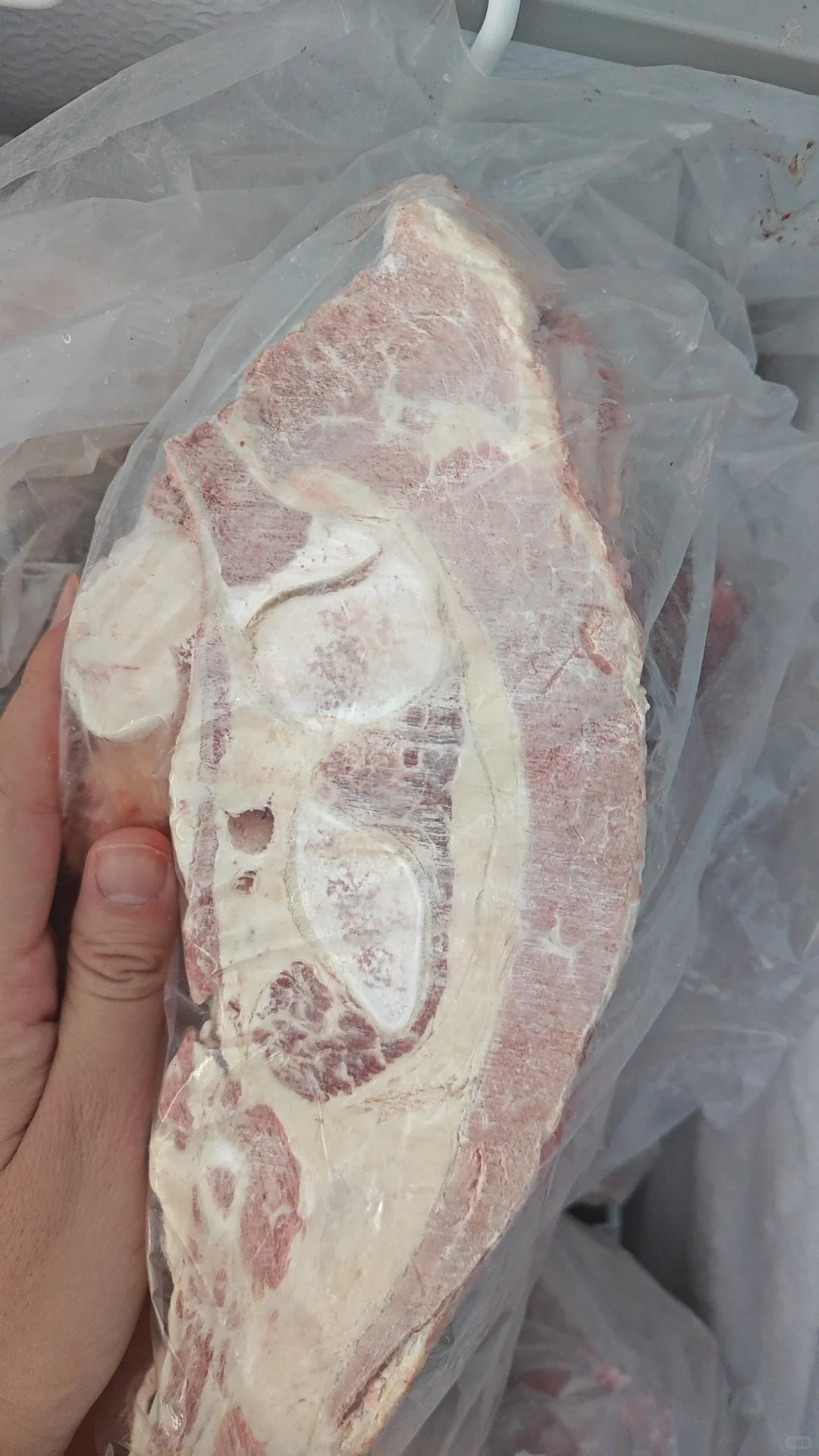 ����ȺȺ�Ӽӣ�������