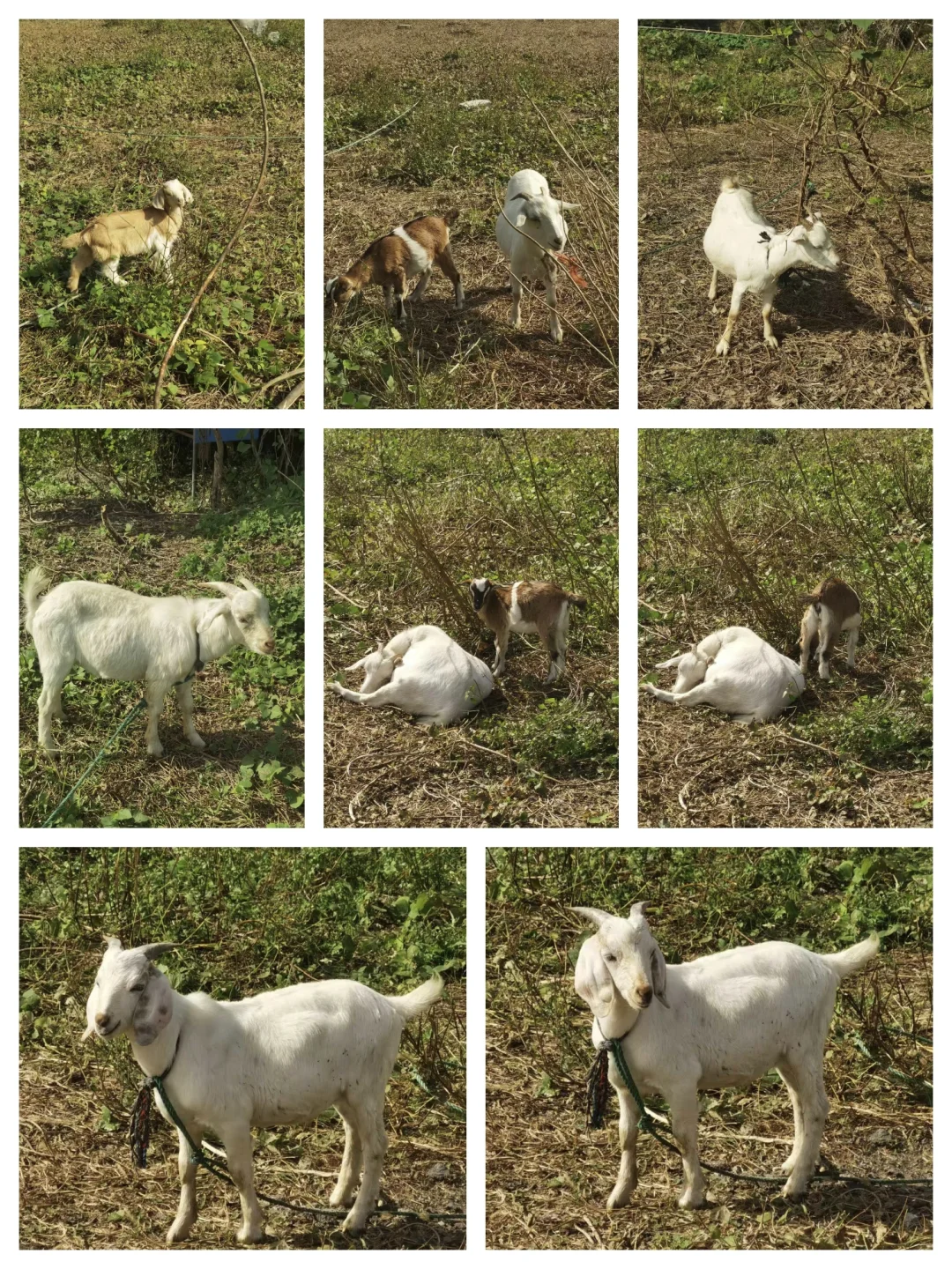 ̨������