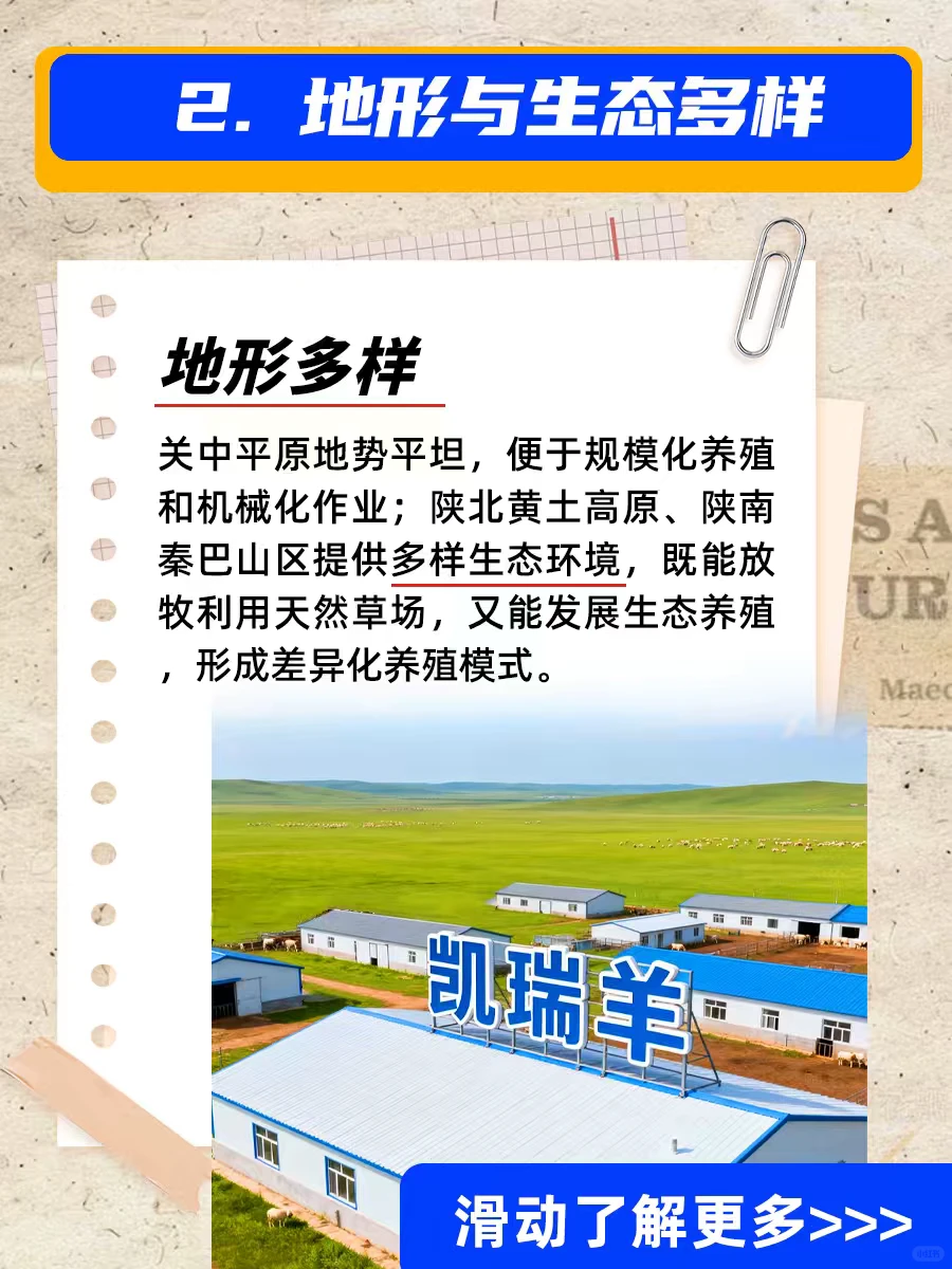 �Ҳ�֪�����������������ʡ��