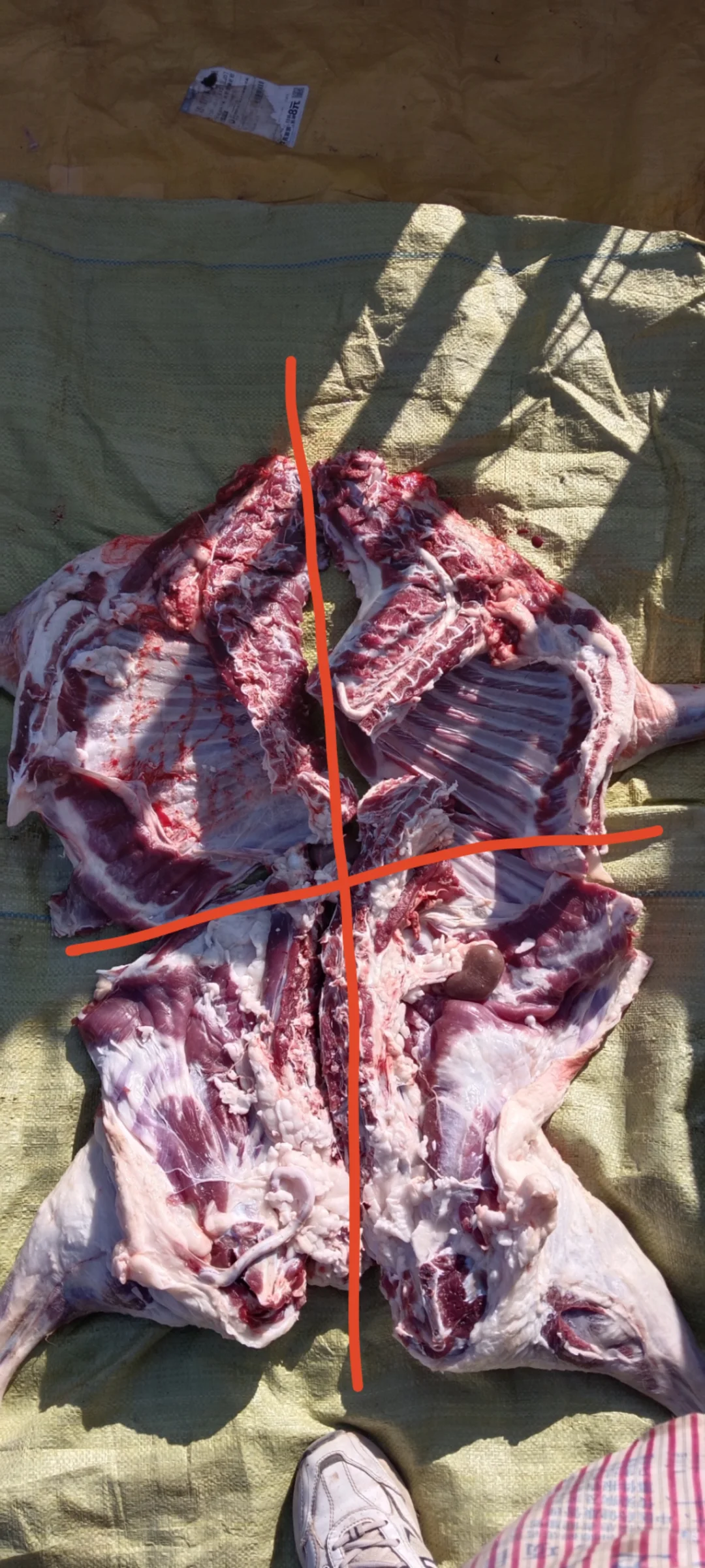 ��Ȼ�ö��˲�֪������ĸ��������������