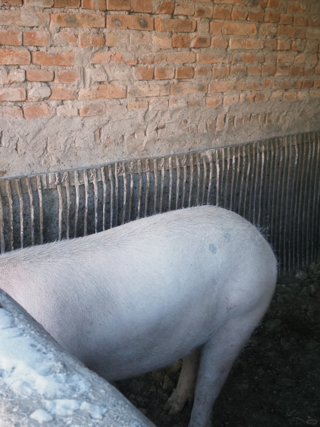 ������ͥ��Ա