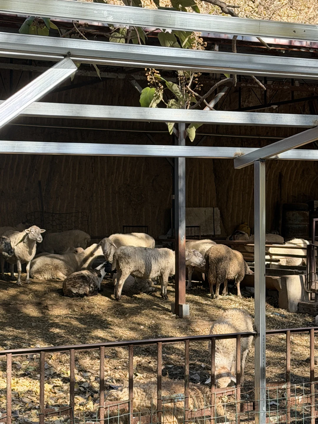 ��Ժ����ı�������ݣ����ܿ�+ʡǮ+����ָ��