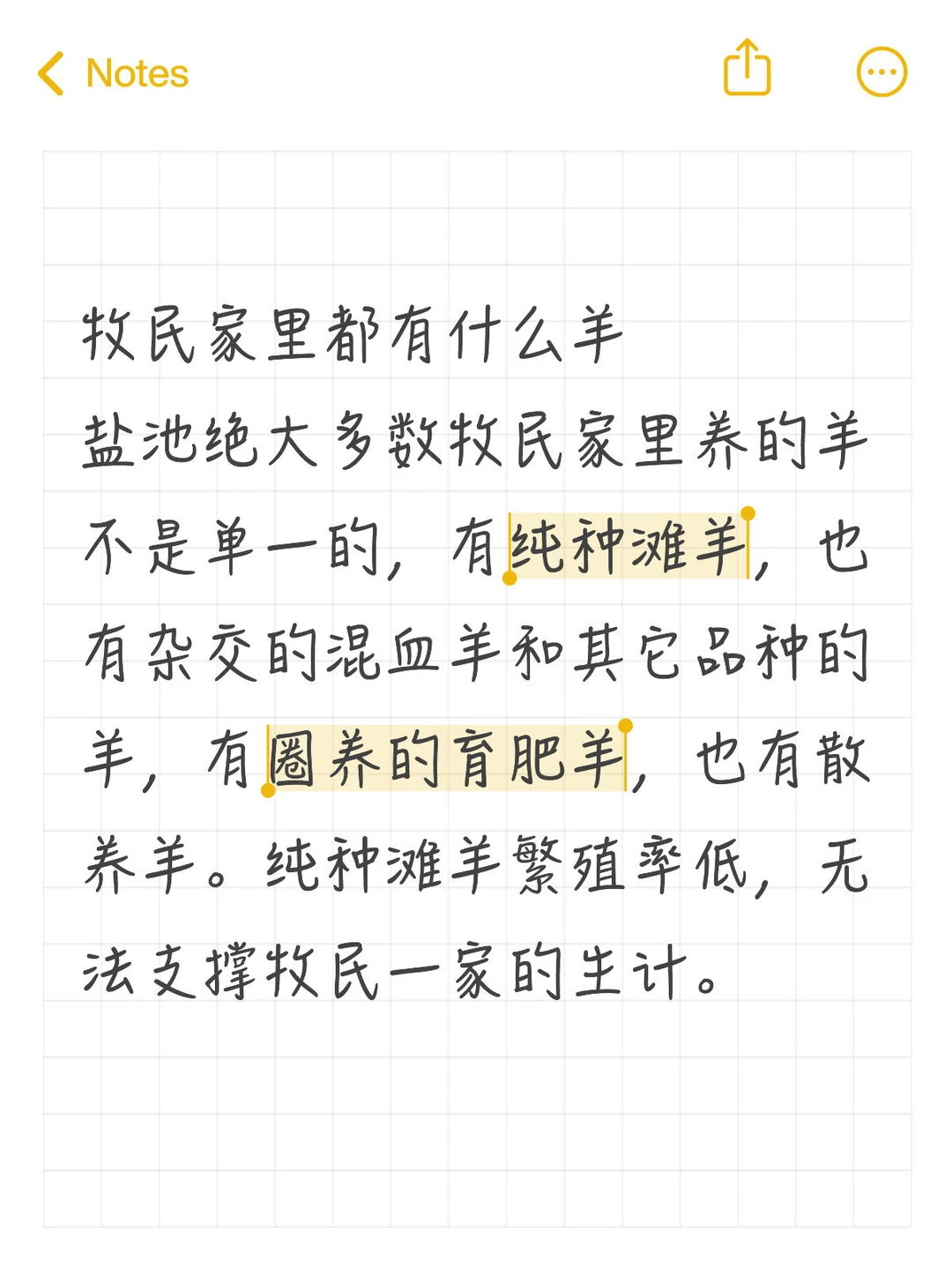 牧民家里都有什么羊