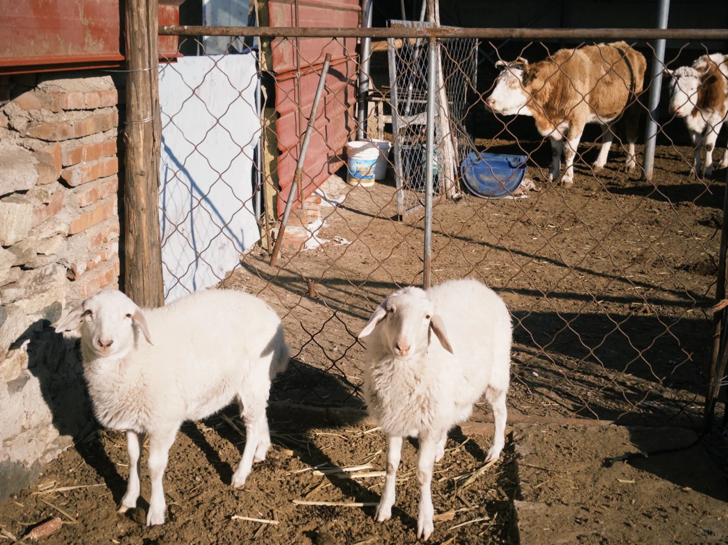 ������ͥ��Ա