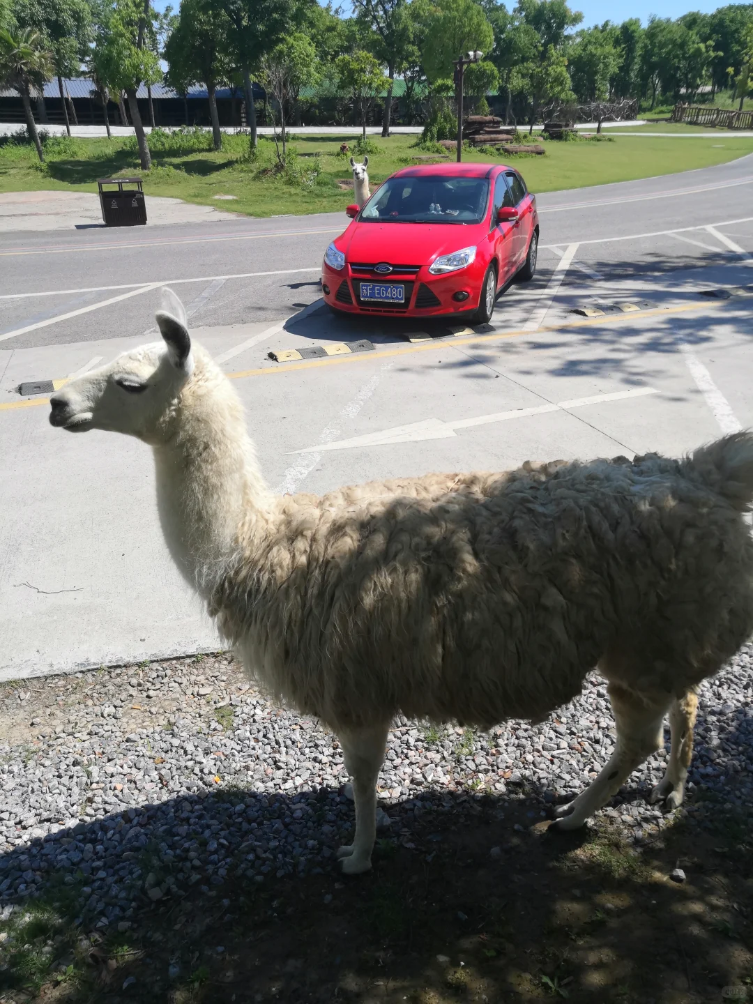 ����˭�ҵ�����??