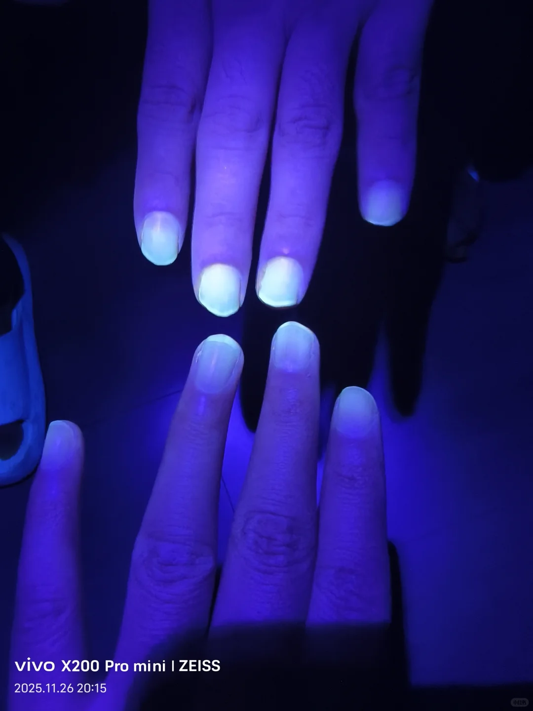 �����è޺��