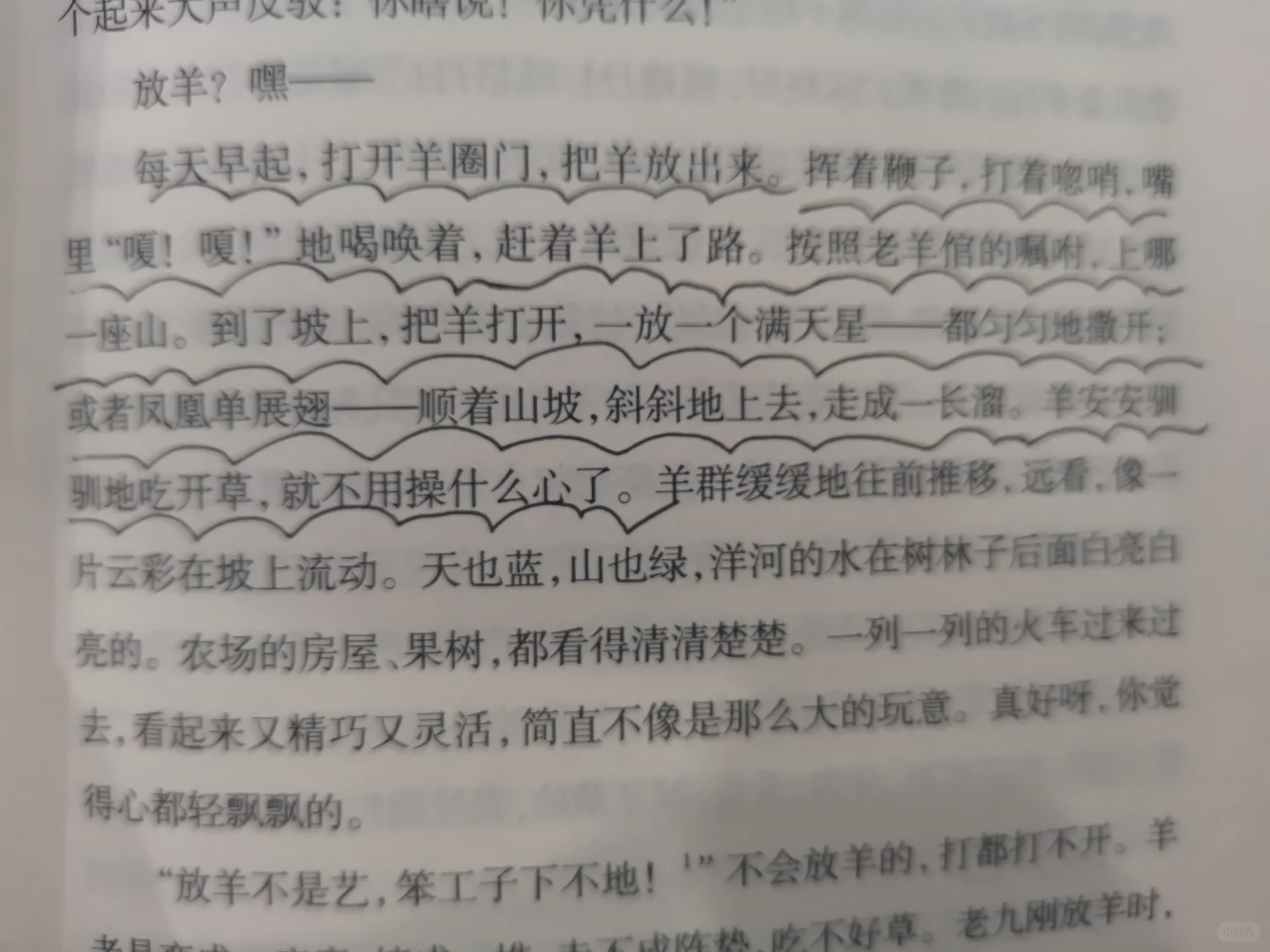 放羊的孩子