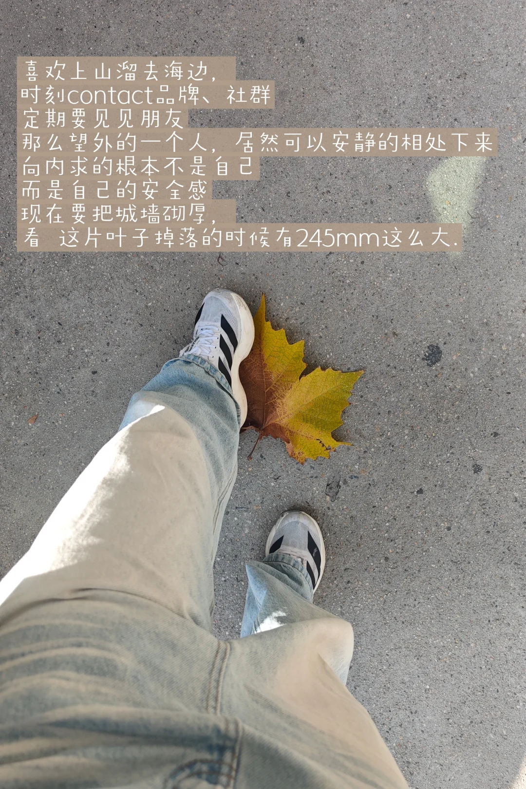 循环往复的执行自己 复利的幸福才是我想要