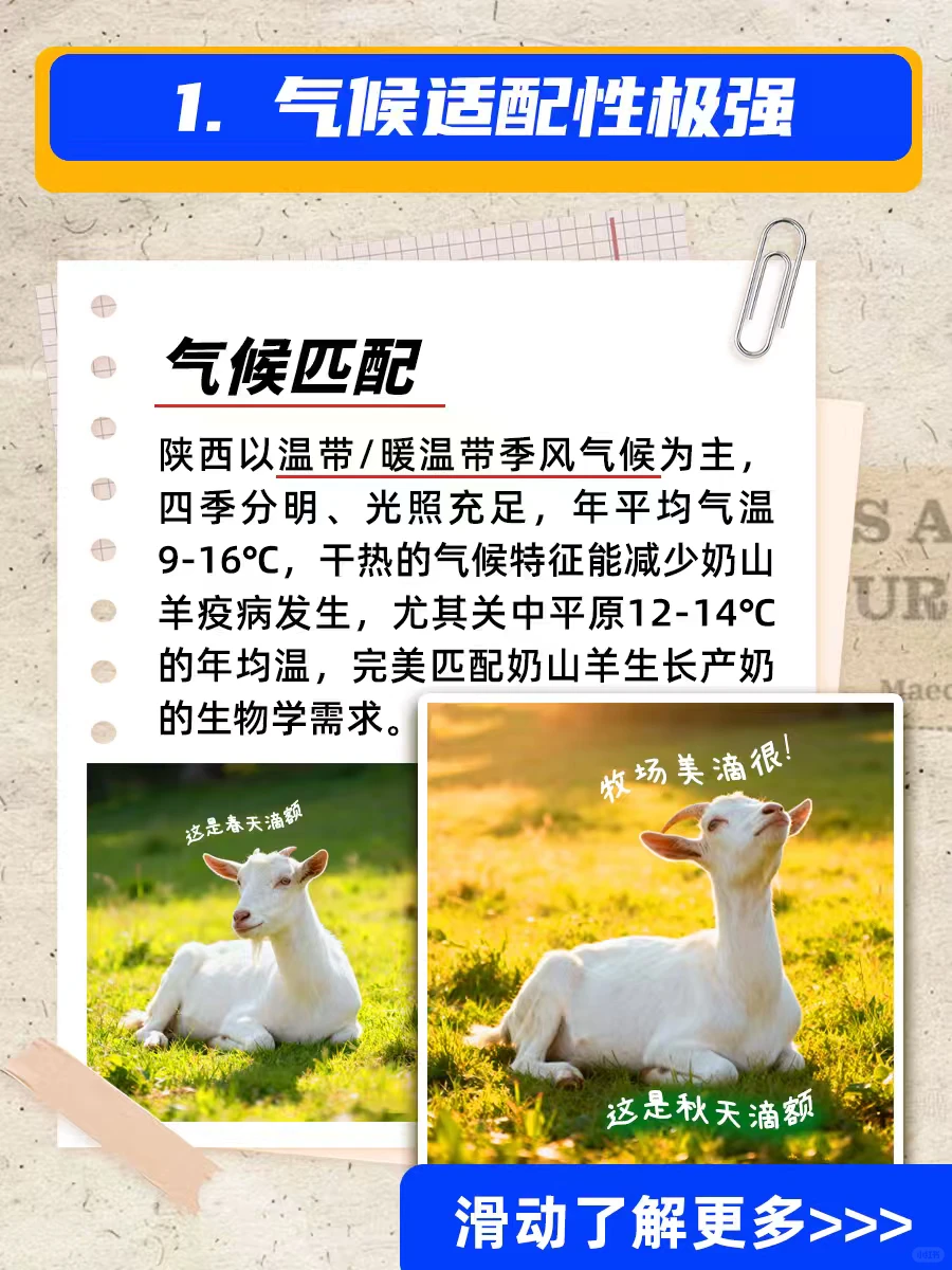 �Ҳ�֪�����������������ʡ��