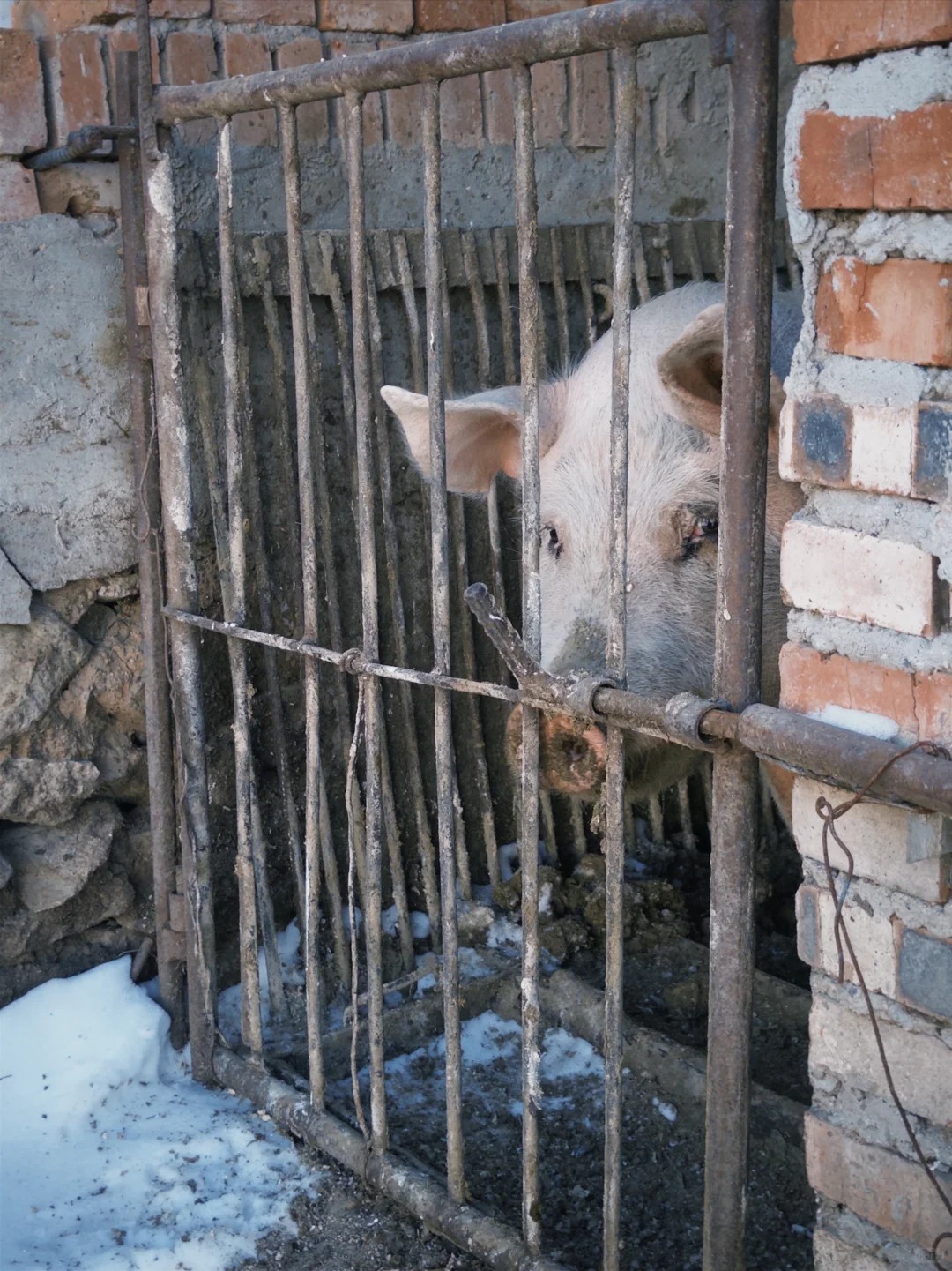 ������ͥ��Ա