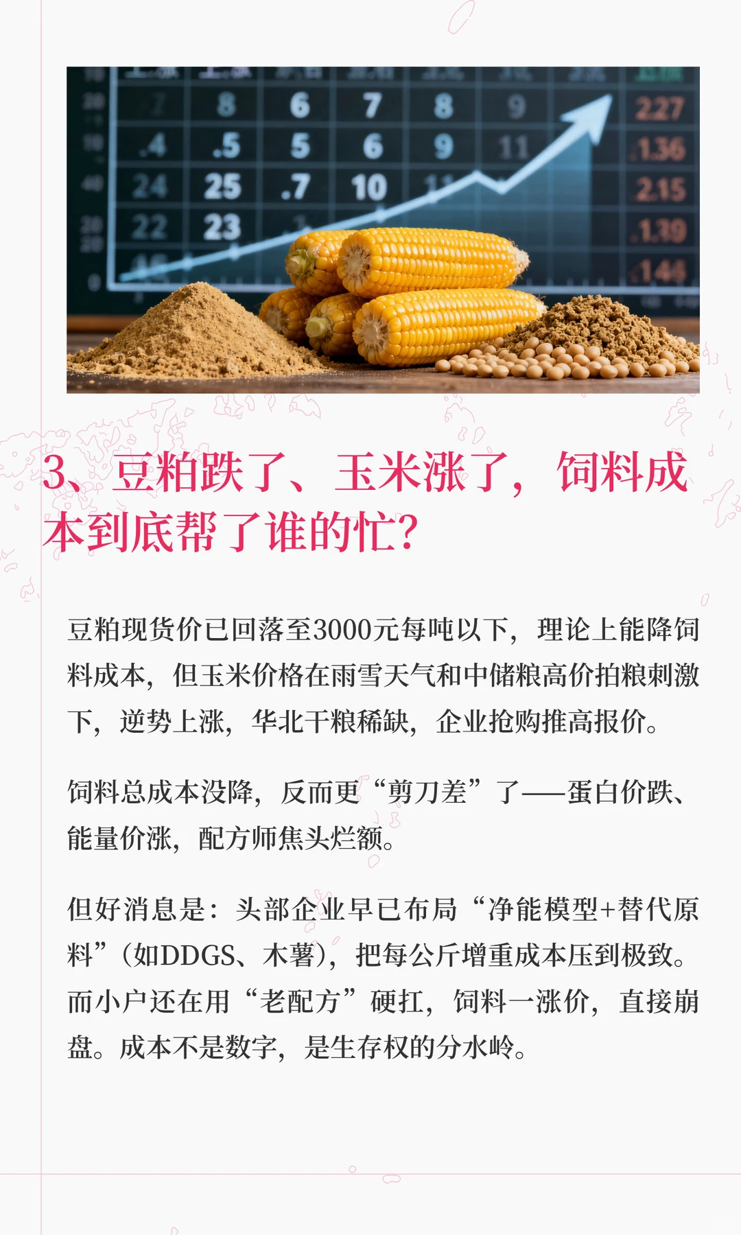 ��ֳ�����ڵȡ����߾��С�������������2025