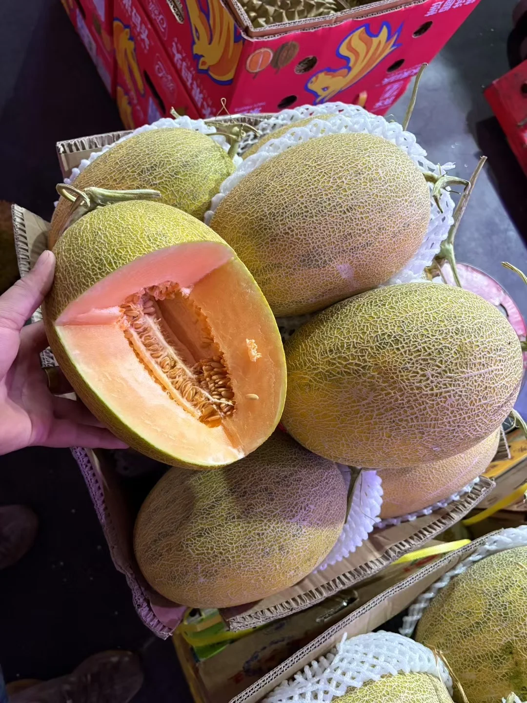 2025��11��13�������ũˮ�������۸�