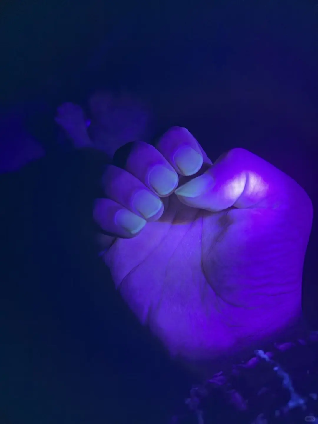 �����è޺��