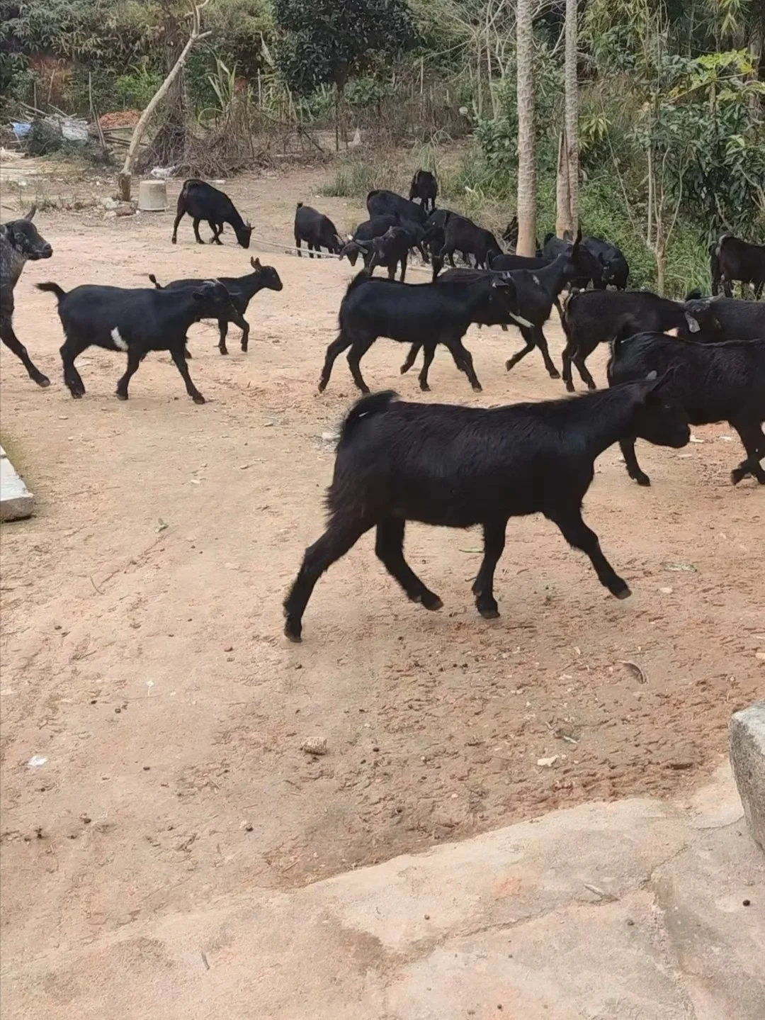 �ھӴ����Ǹ�����Ҽ���ǰ������