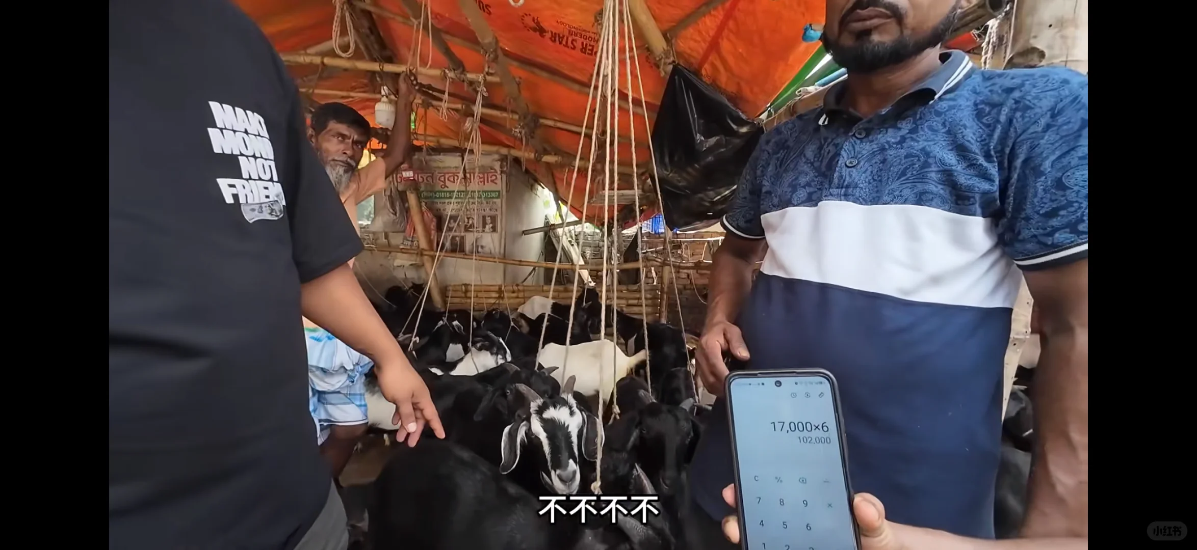 �ϼ�����?�ļ۸�1200TK/KG