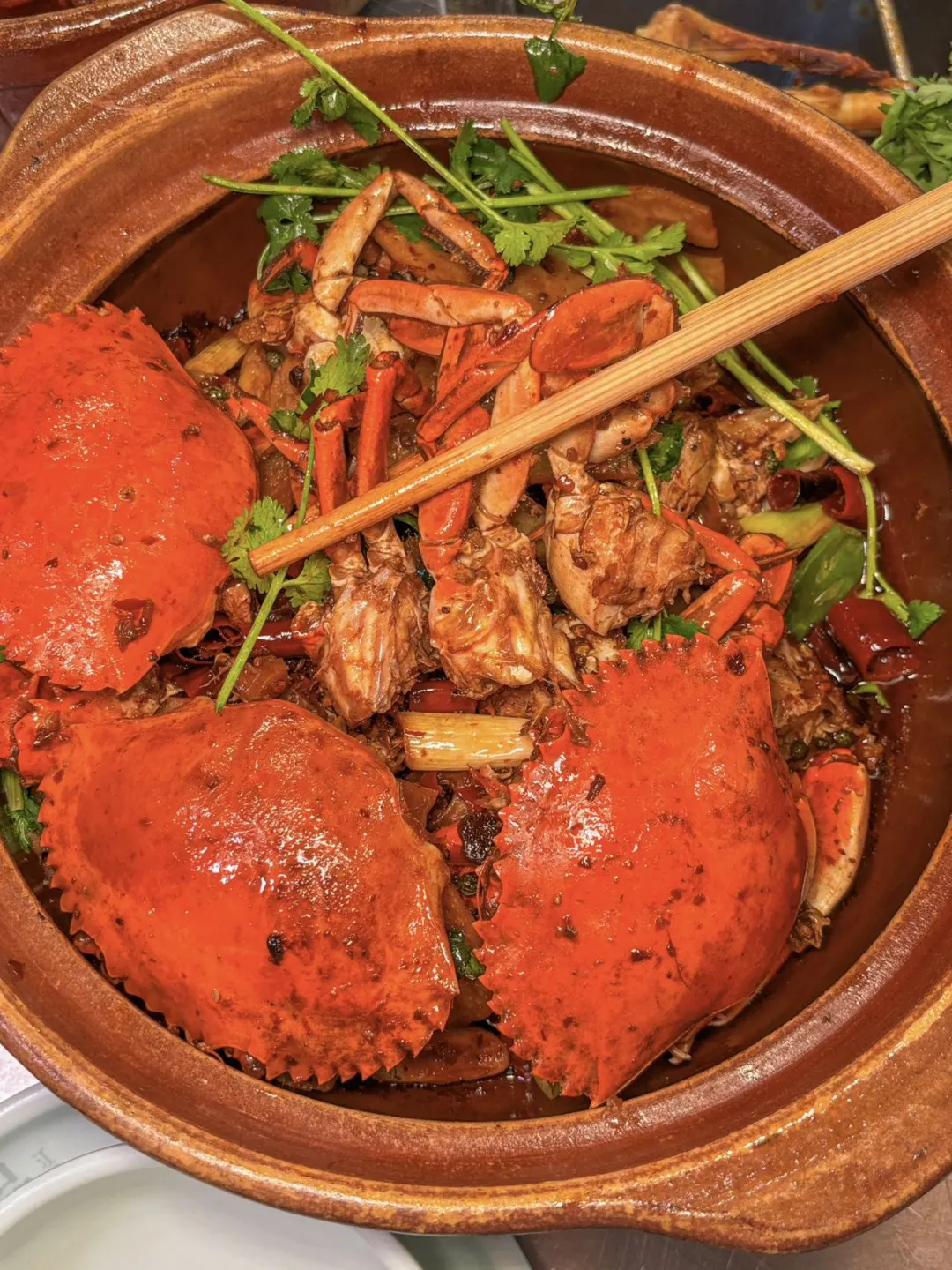 ����ѩɽ���ֵ��ֿ��¸��㣡��