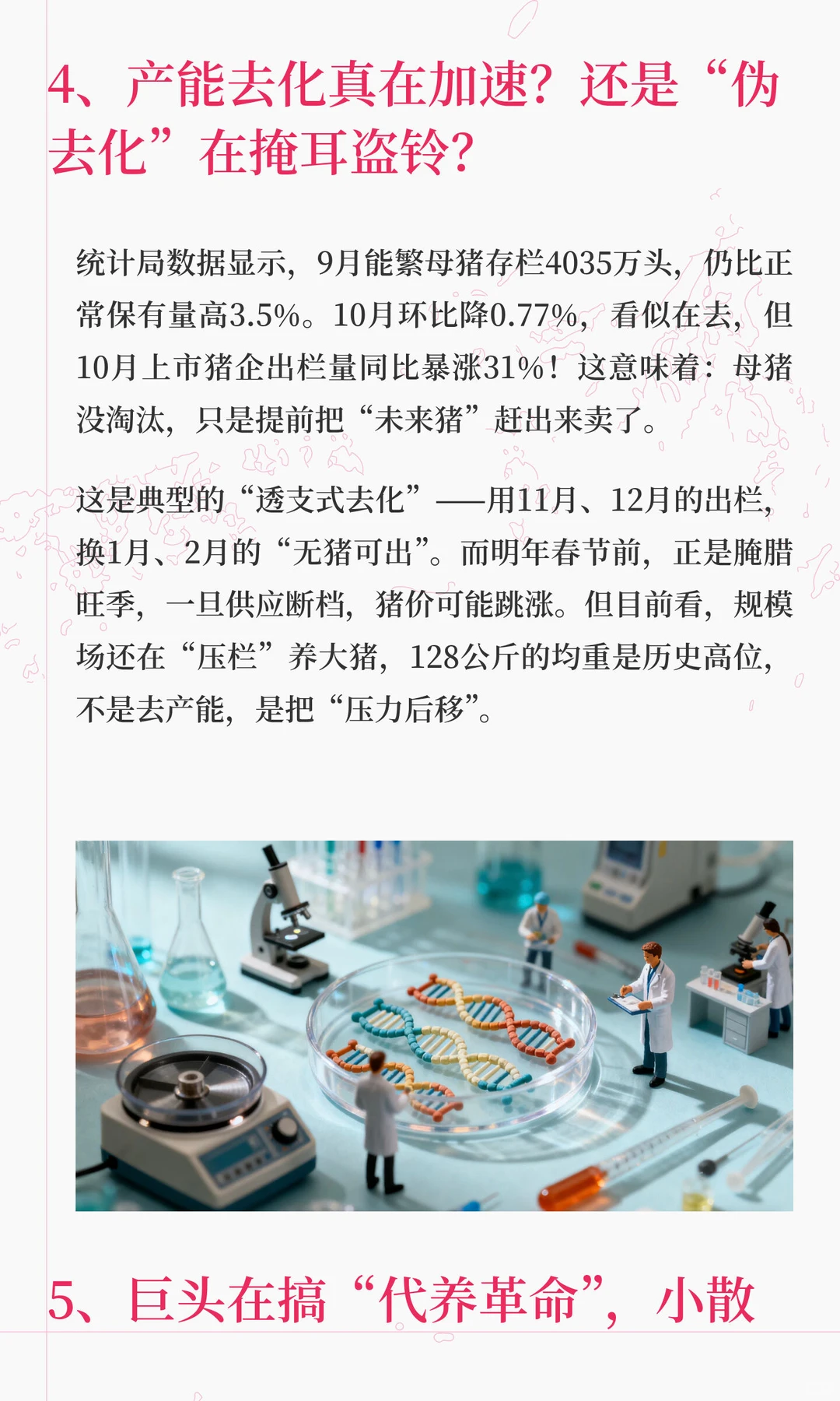 ��ֳ�����ڵȡ����߾��С�������������2025