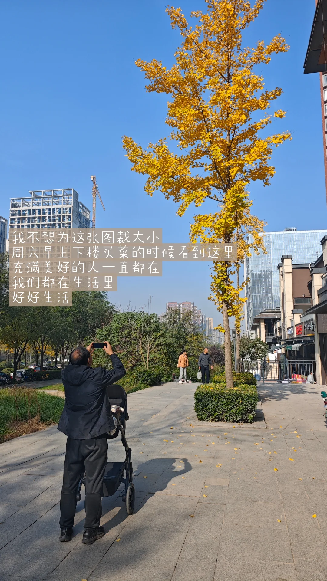 循环往复的执行自己 复利的幸福才是我想要