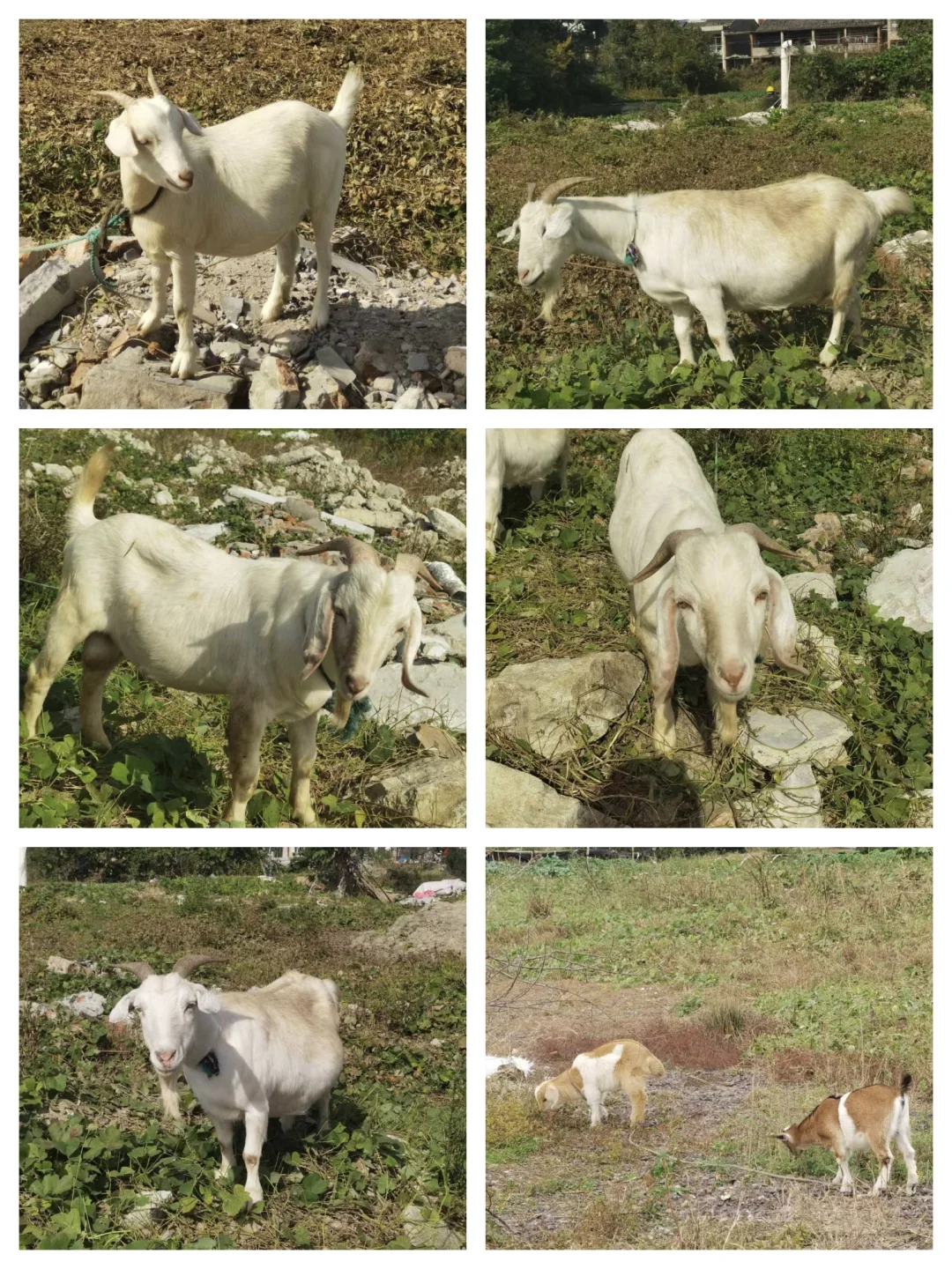 ̨������