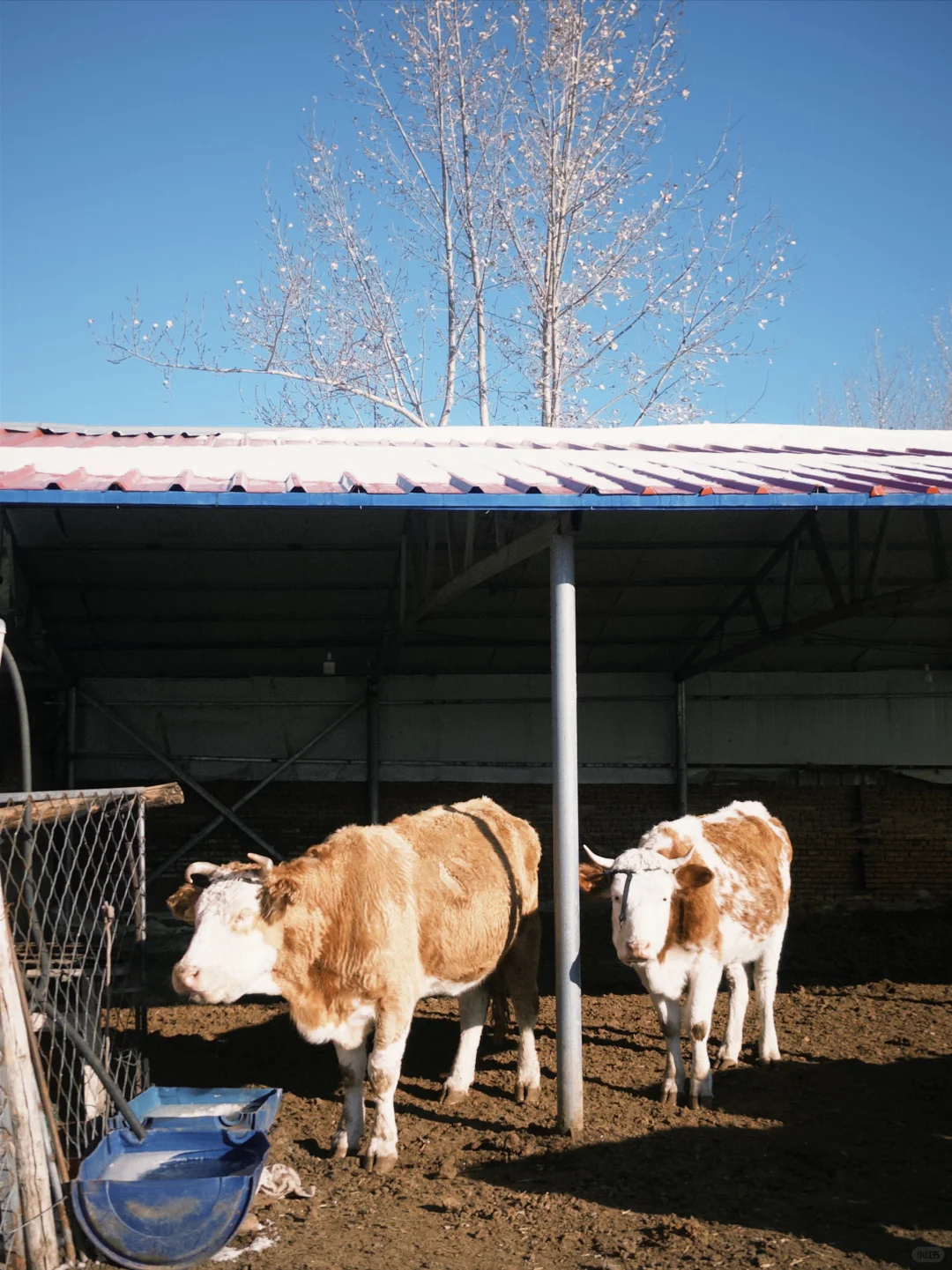 ������ͥ��Ա