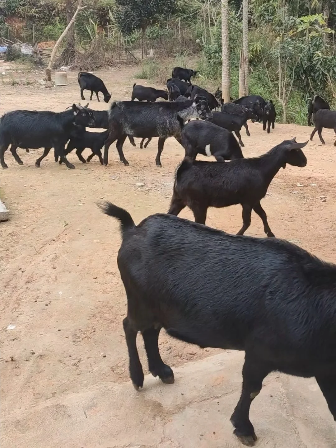 �ھӴ����Ǹ�����Ҽ���ǰ������